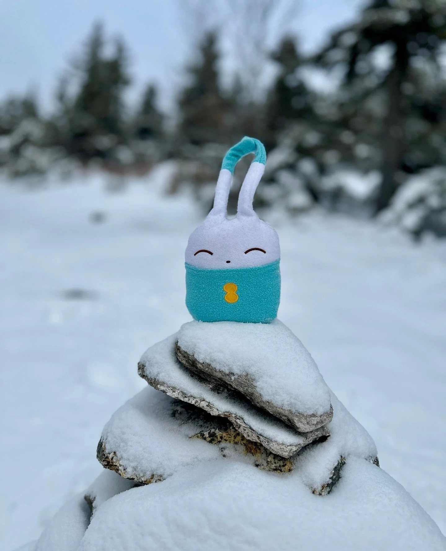 You are looking at the last of the blueberry LuMis: we are all sold out! 
We do have a very small number of raspberry and pear LuMis still available.
Team Little Lantern trekked high up into the White Mountains and brought the last remaining blue