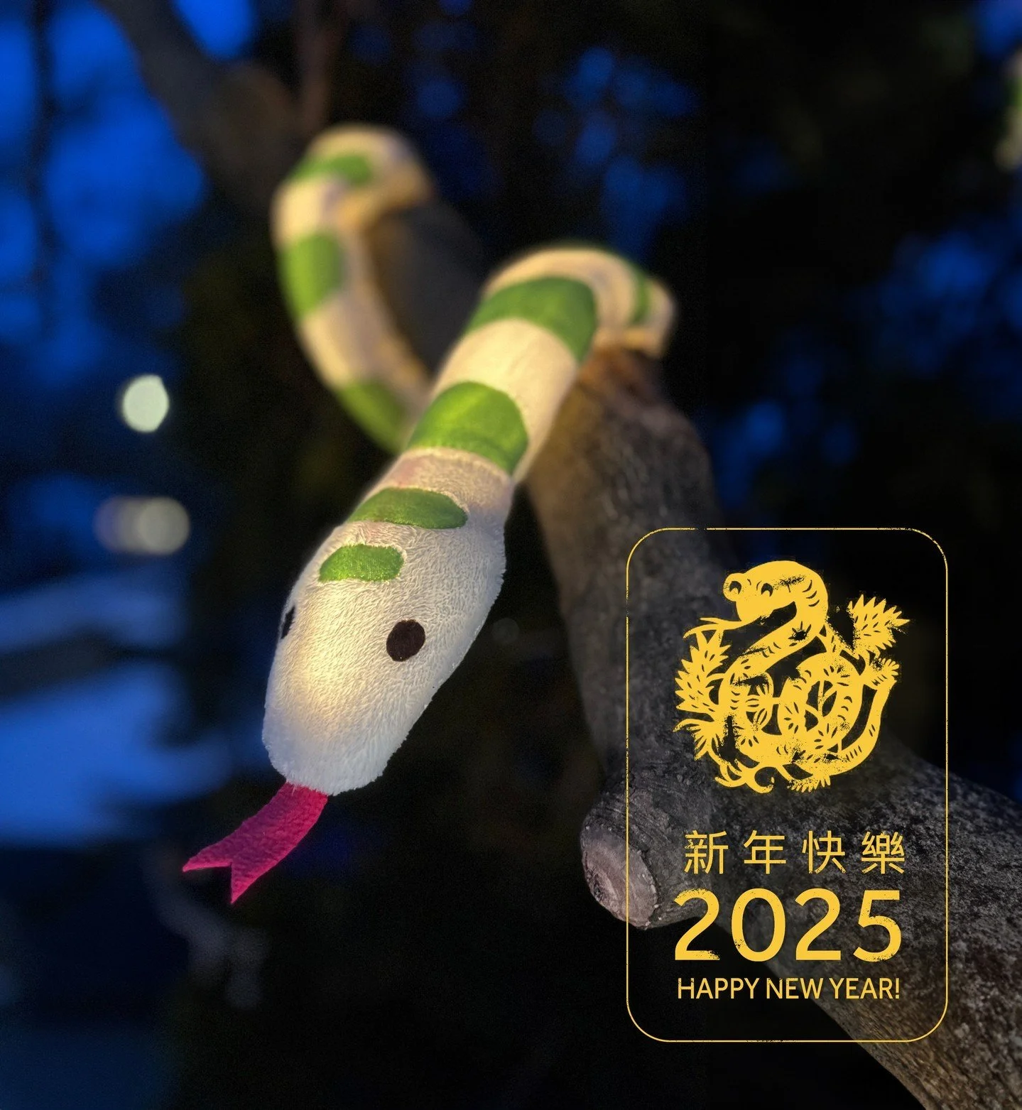 🏮 Happy Lunar New Year from Slinky! 🏮 🌙 
This is the wood snake's year, which represents a time of growth, creativity, and introspection. Wood Snakes are known to be resourceful and adaptable, and we wish those qualities serve you well as you n