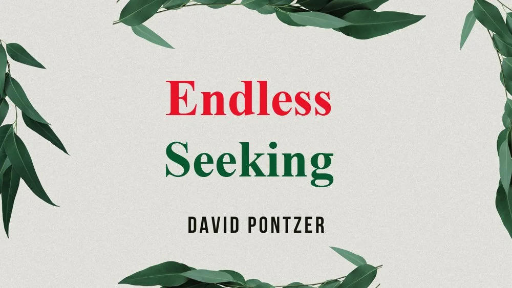 Endless Seeking