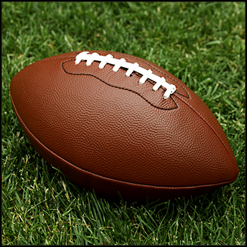 Every Super Bowl Article!