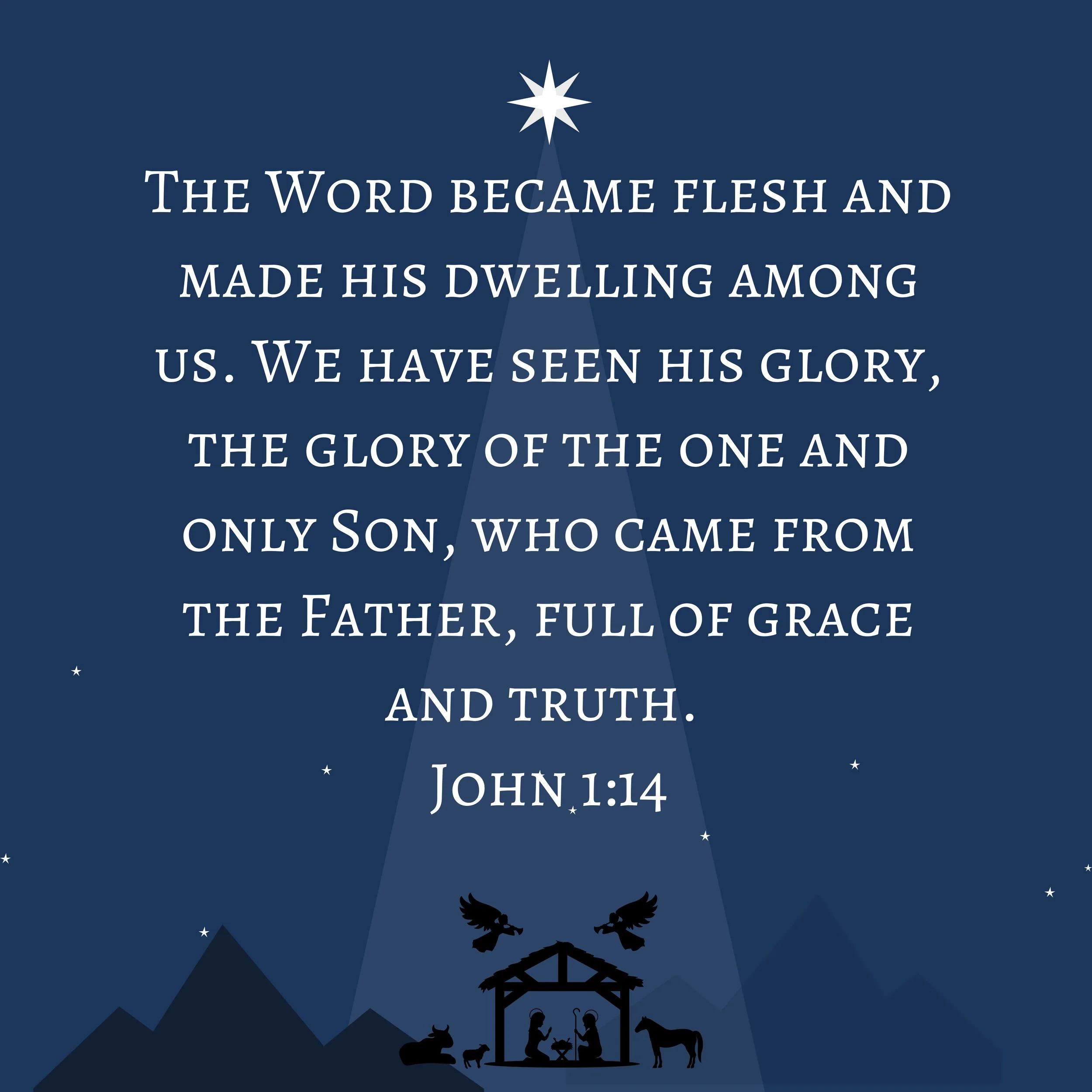 Merry Christmas! -- We have Seen His Glory!