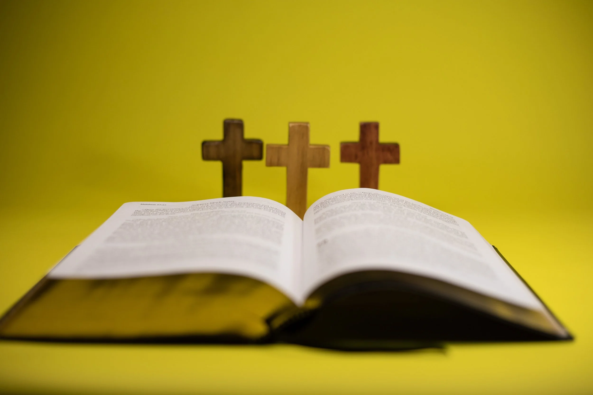 Fasting the World to Flame a Generation