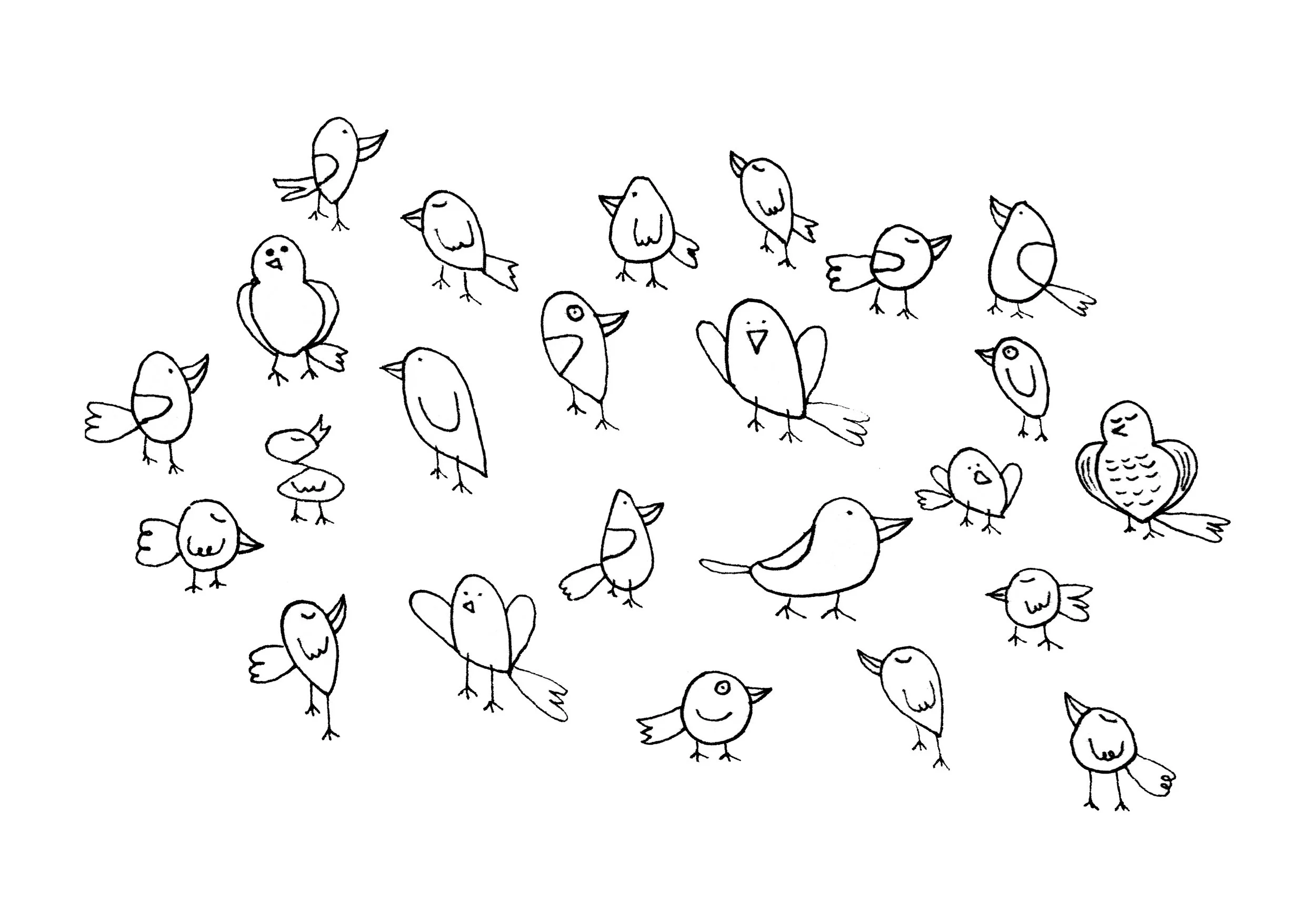 Little Birds)006.jpg