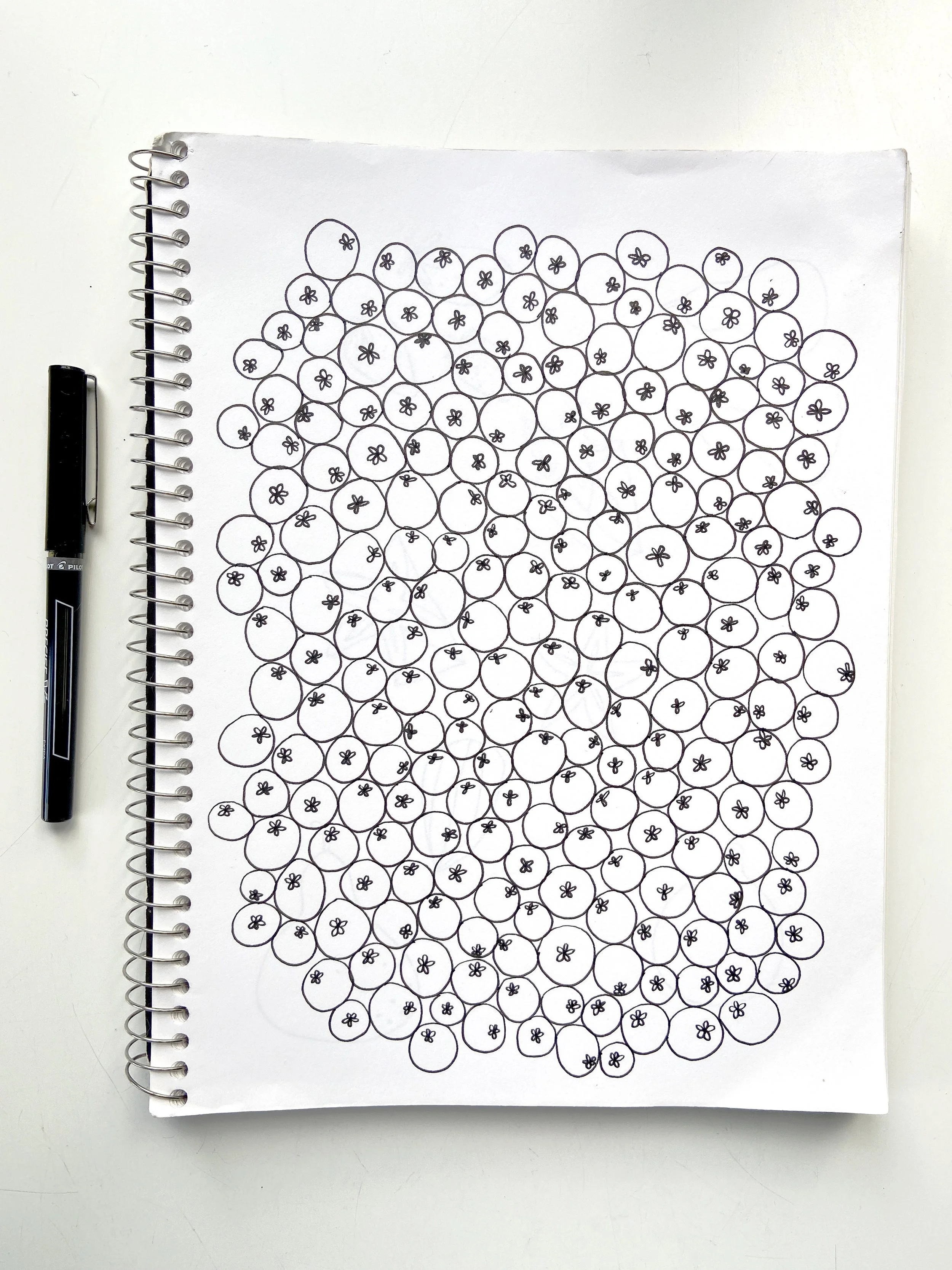 Blueberries with Pen.JPG