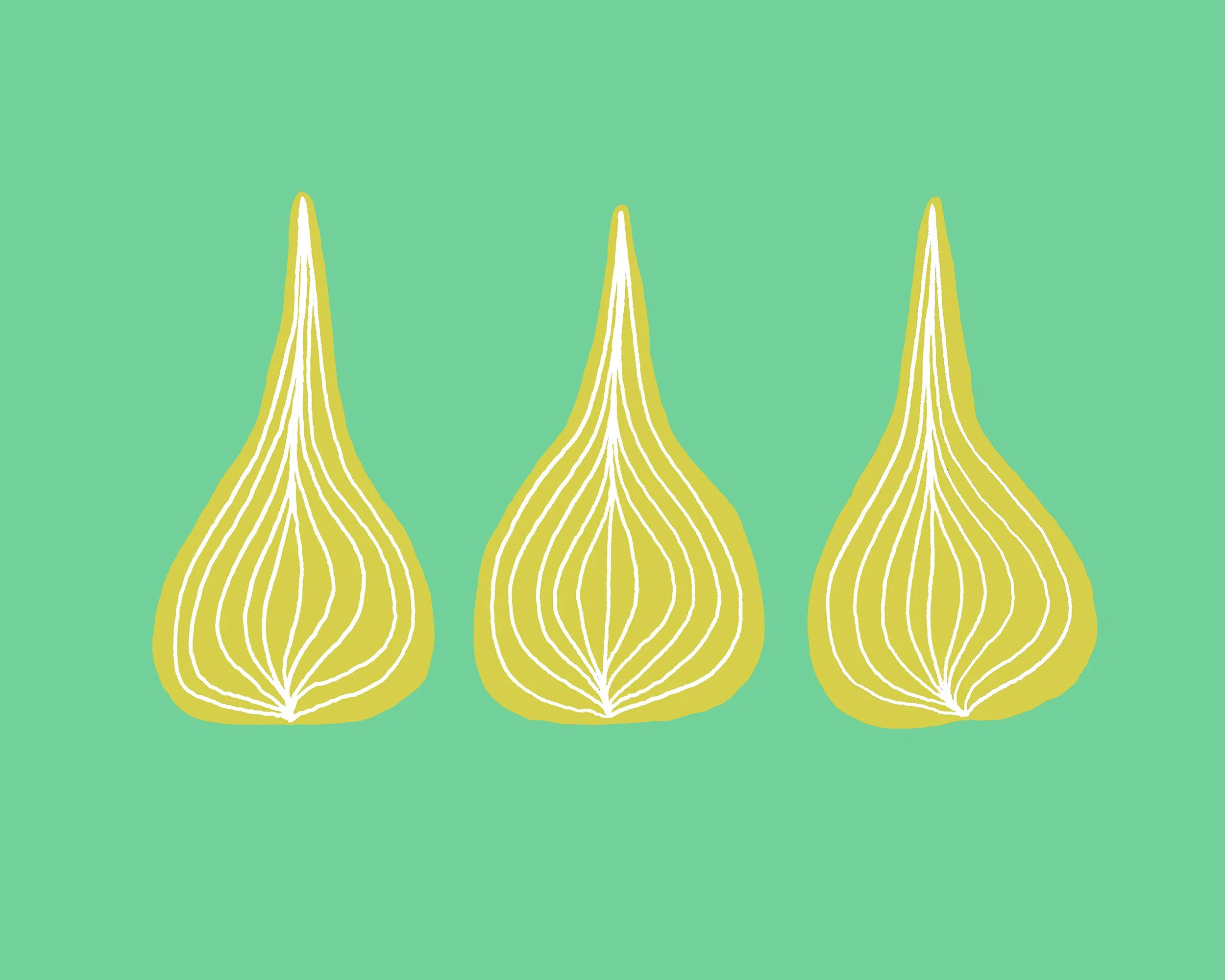 Shallots_web.jpg