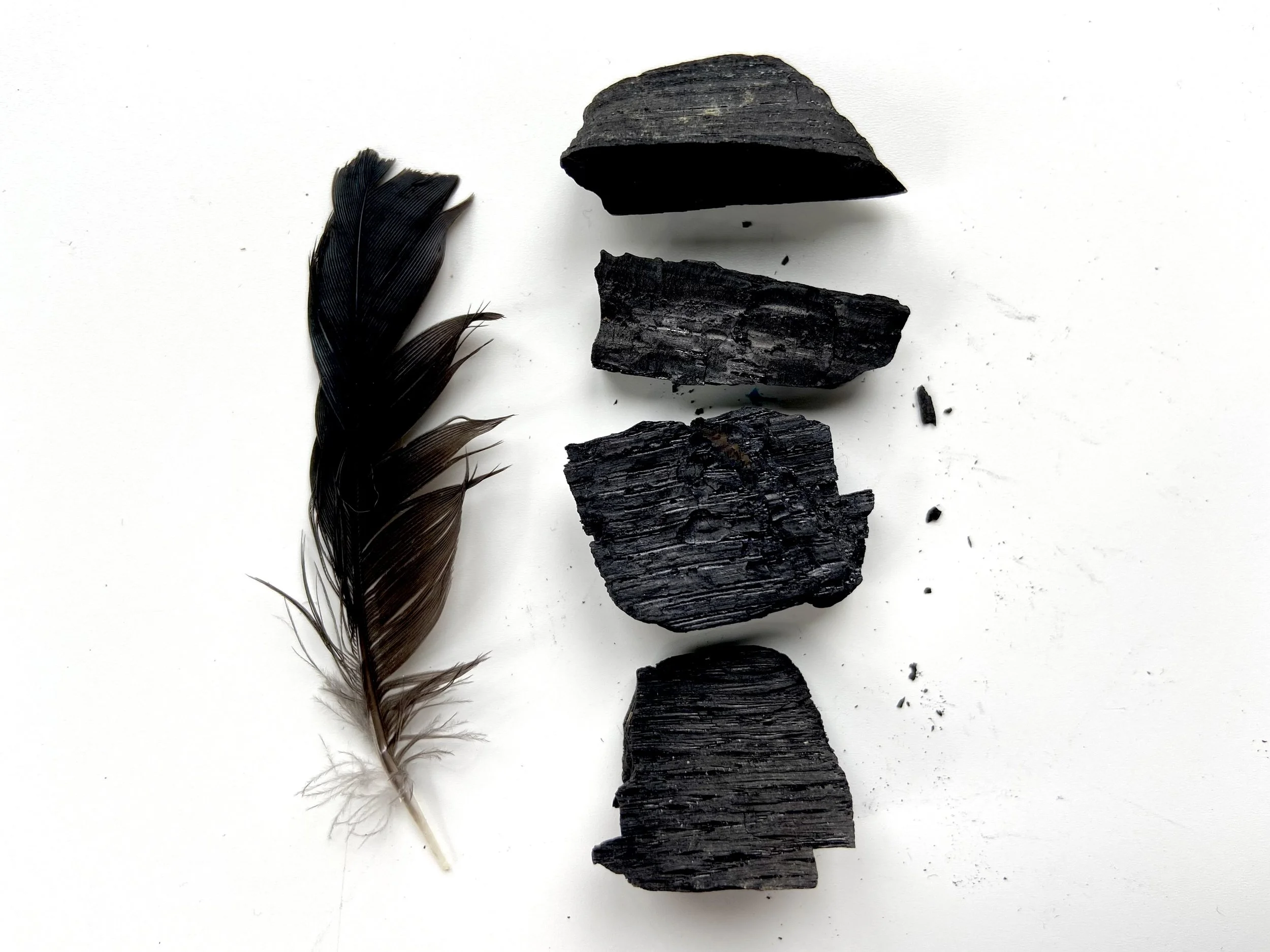 Contemplative assemblage by mixed media artist, Emma Freeman made from a gathered black feather and pieces of charred wood from a camp fire in Wisconsin, impermanent assemblages, meditative art, contemplative art, mindful artist, peaceful art, art as