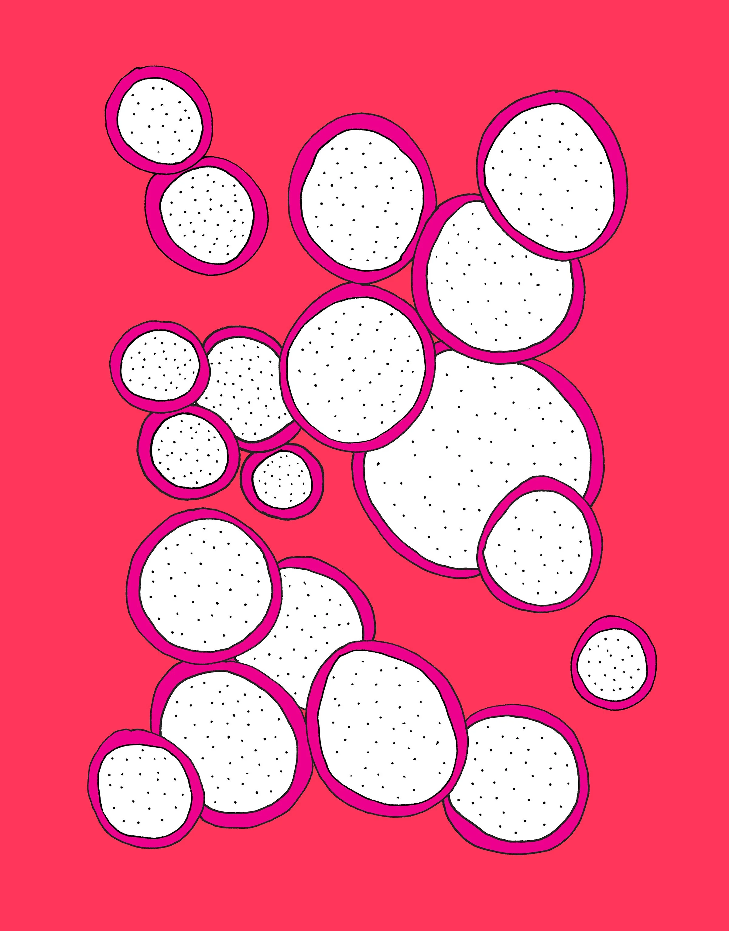 Dragonfruit_web.jpg