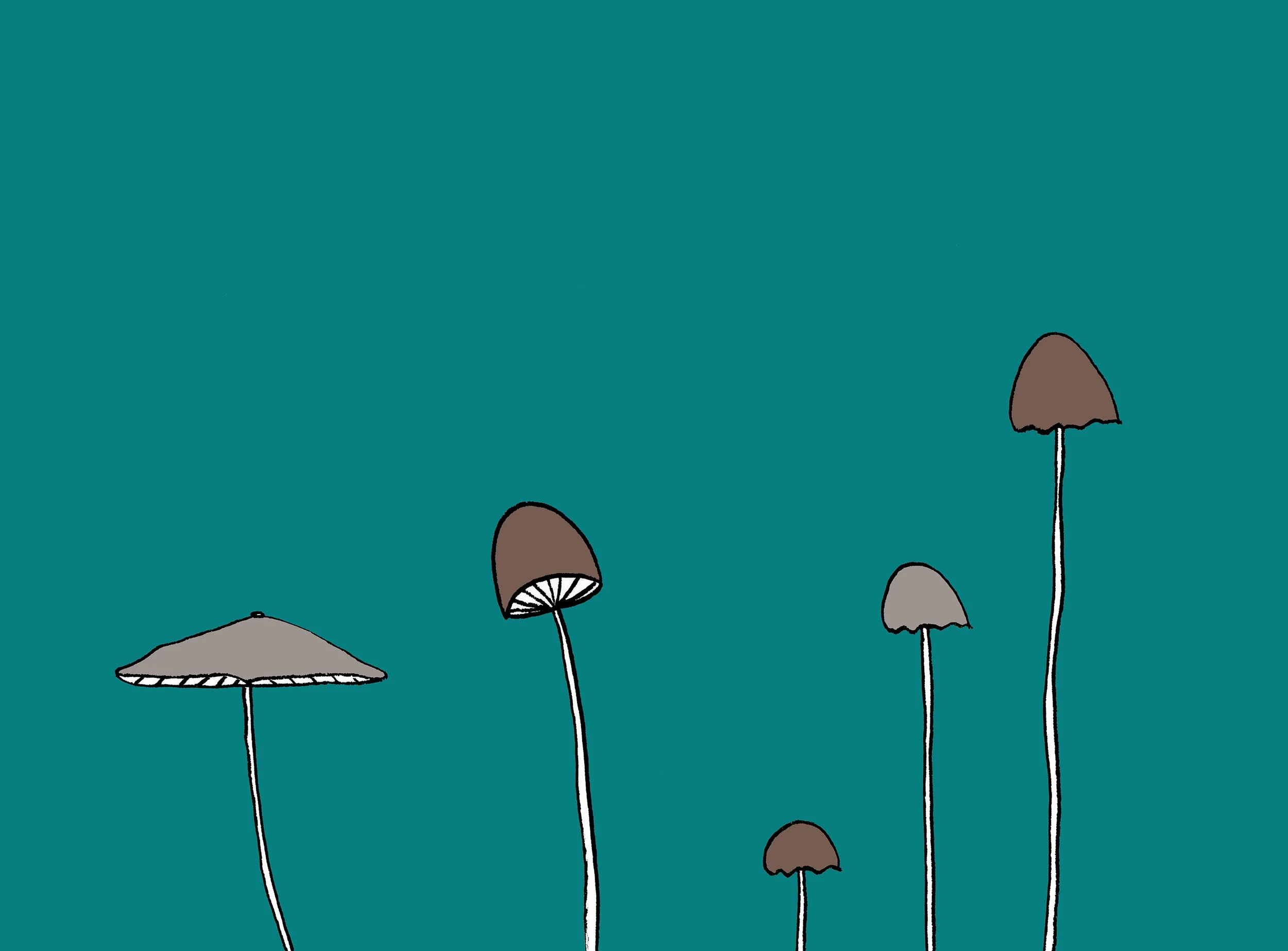 Mushrooms_001 color web.jpg