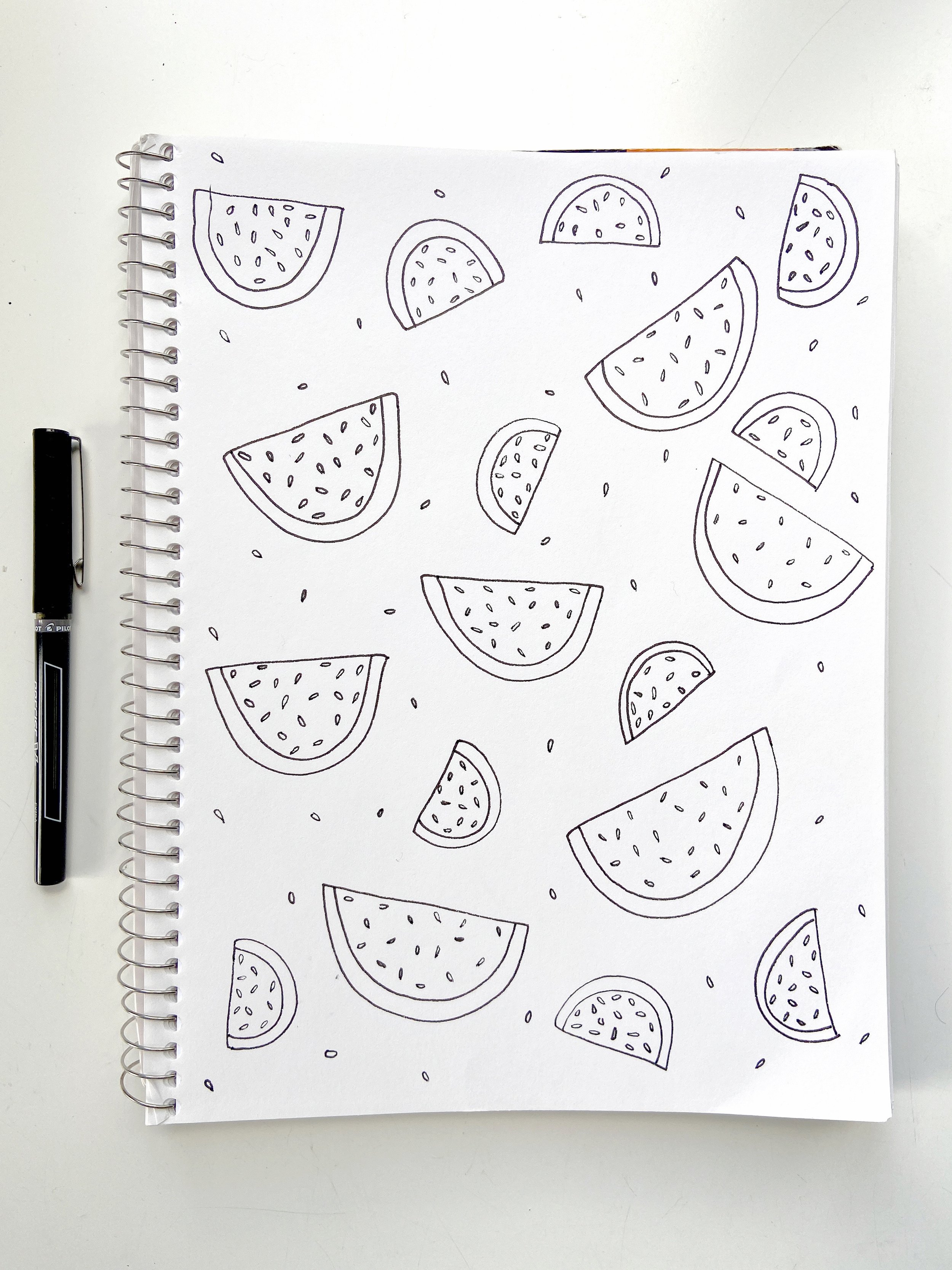 Watermelon and Pen.JPG