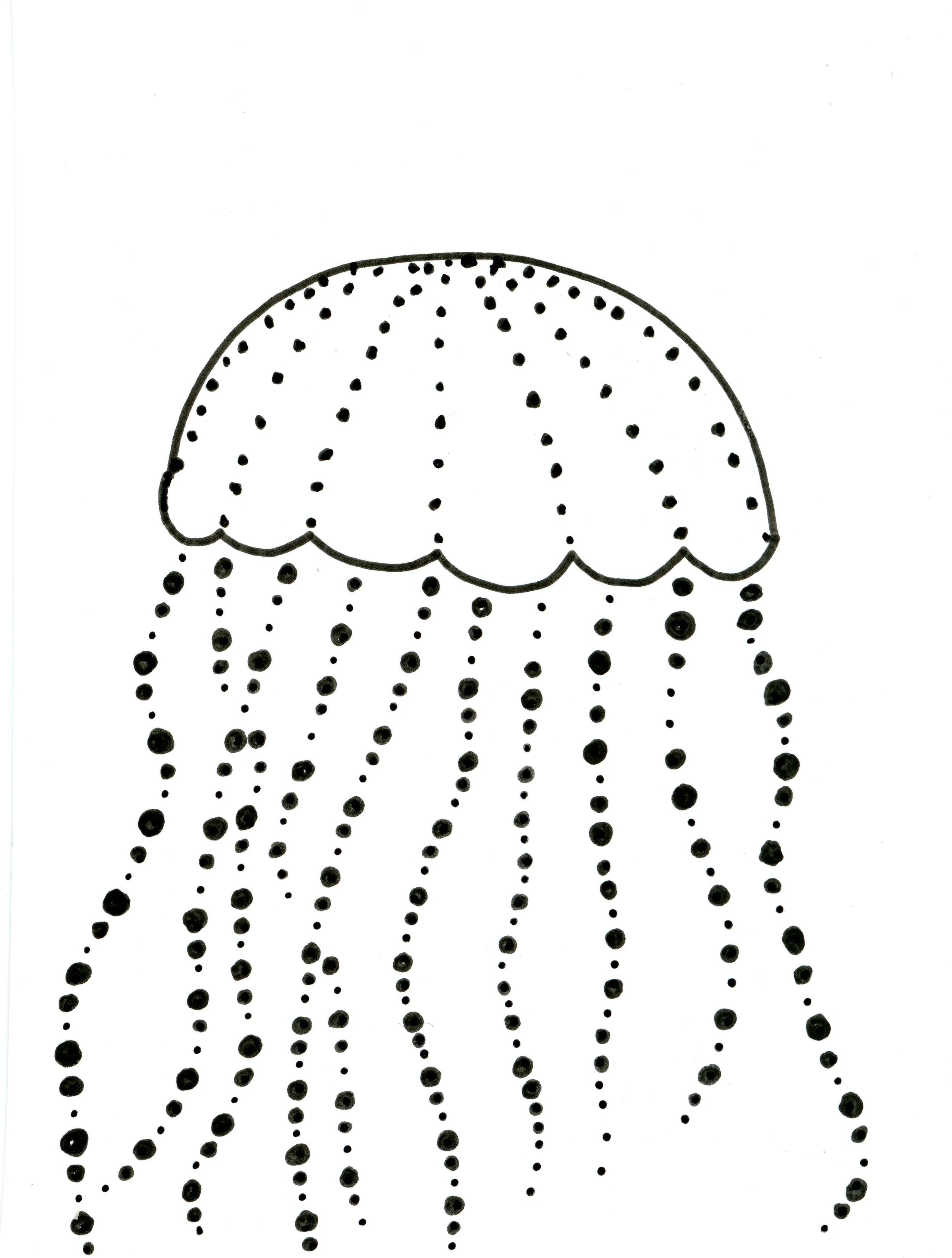 Jellyfish_002.jpg