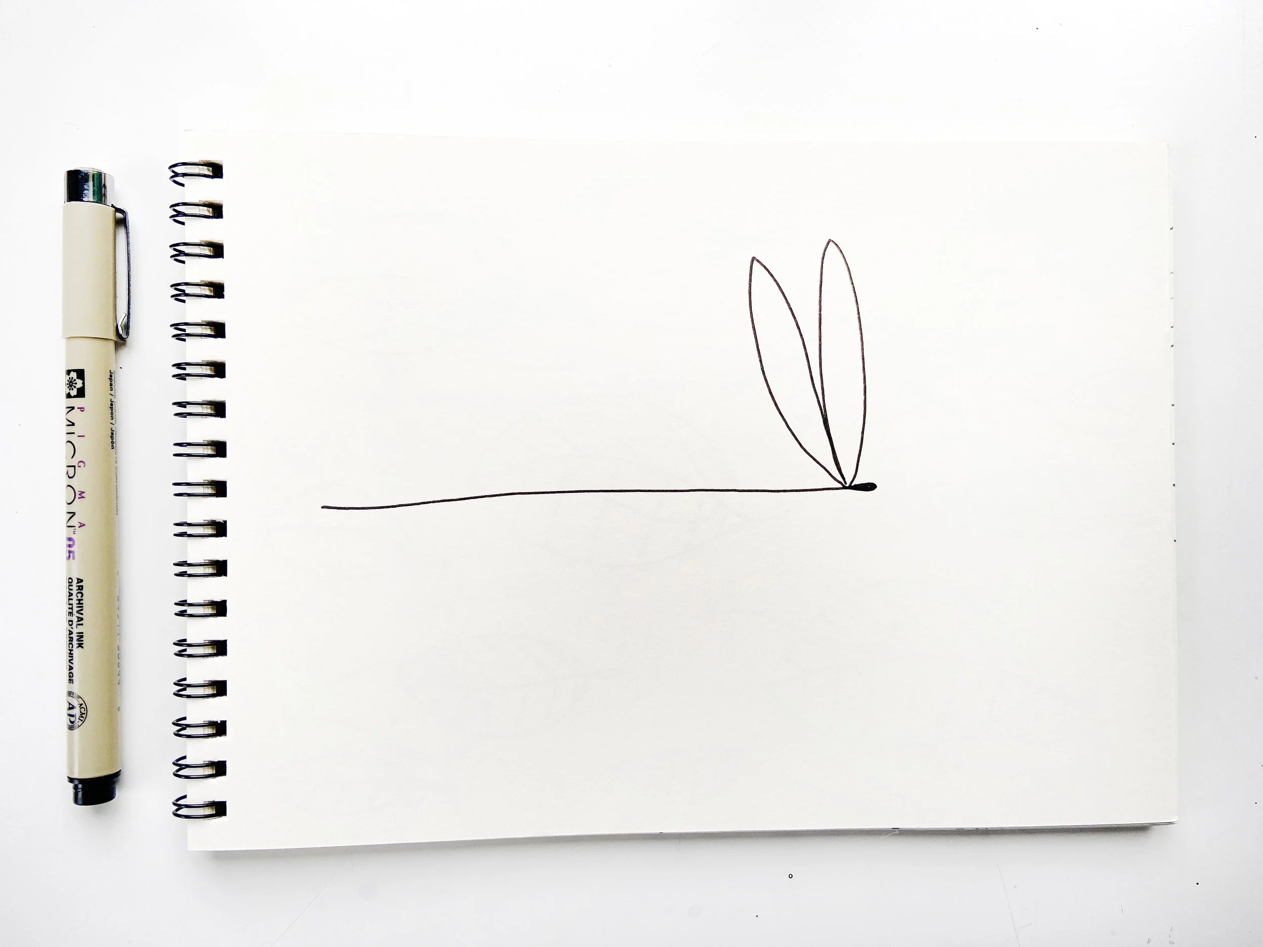 Dragonfly and Pen.jpeg