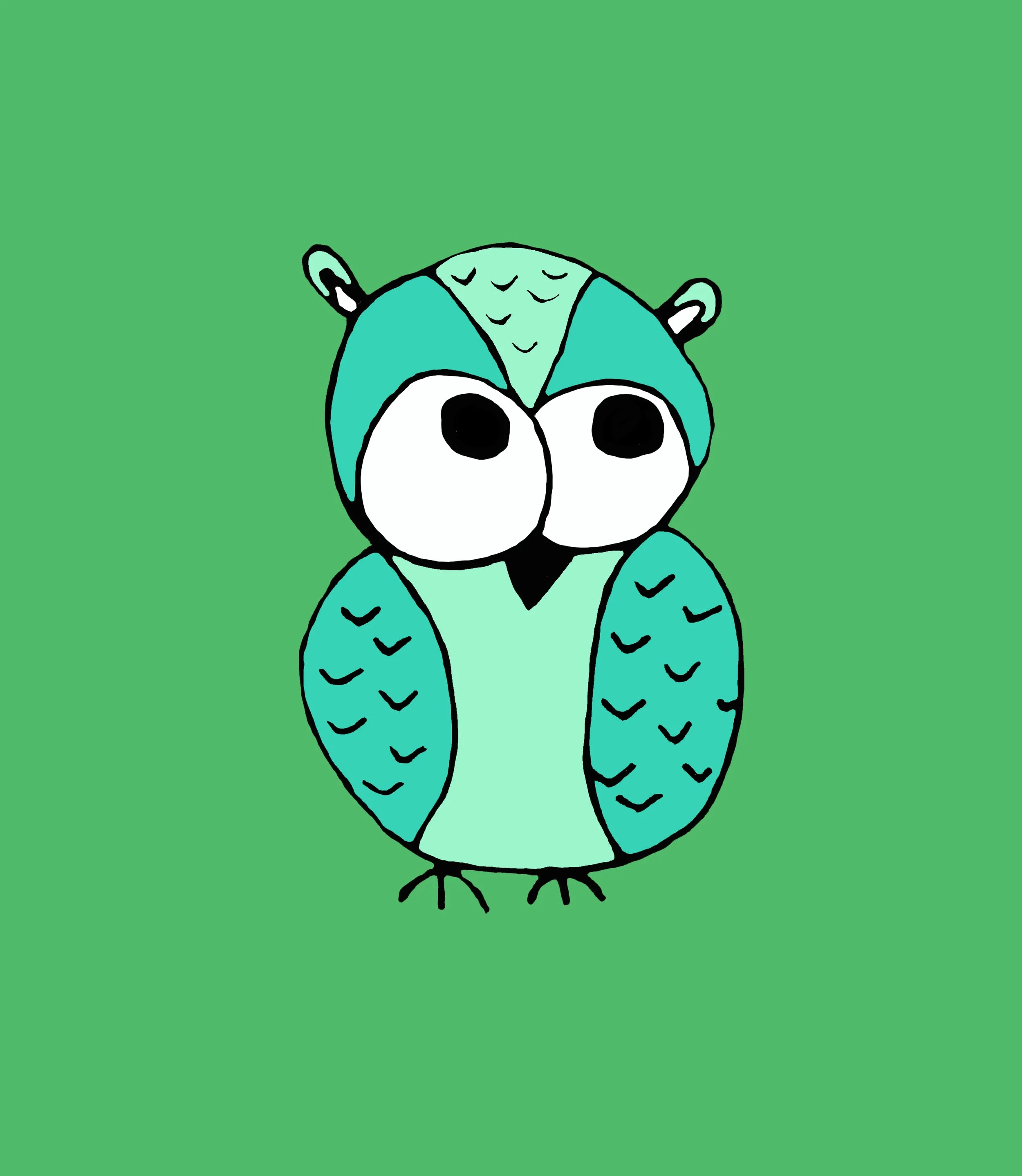 Little Owl_low res.jpg