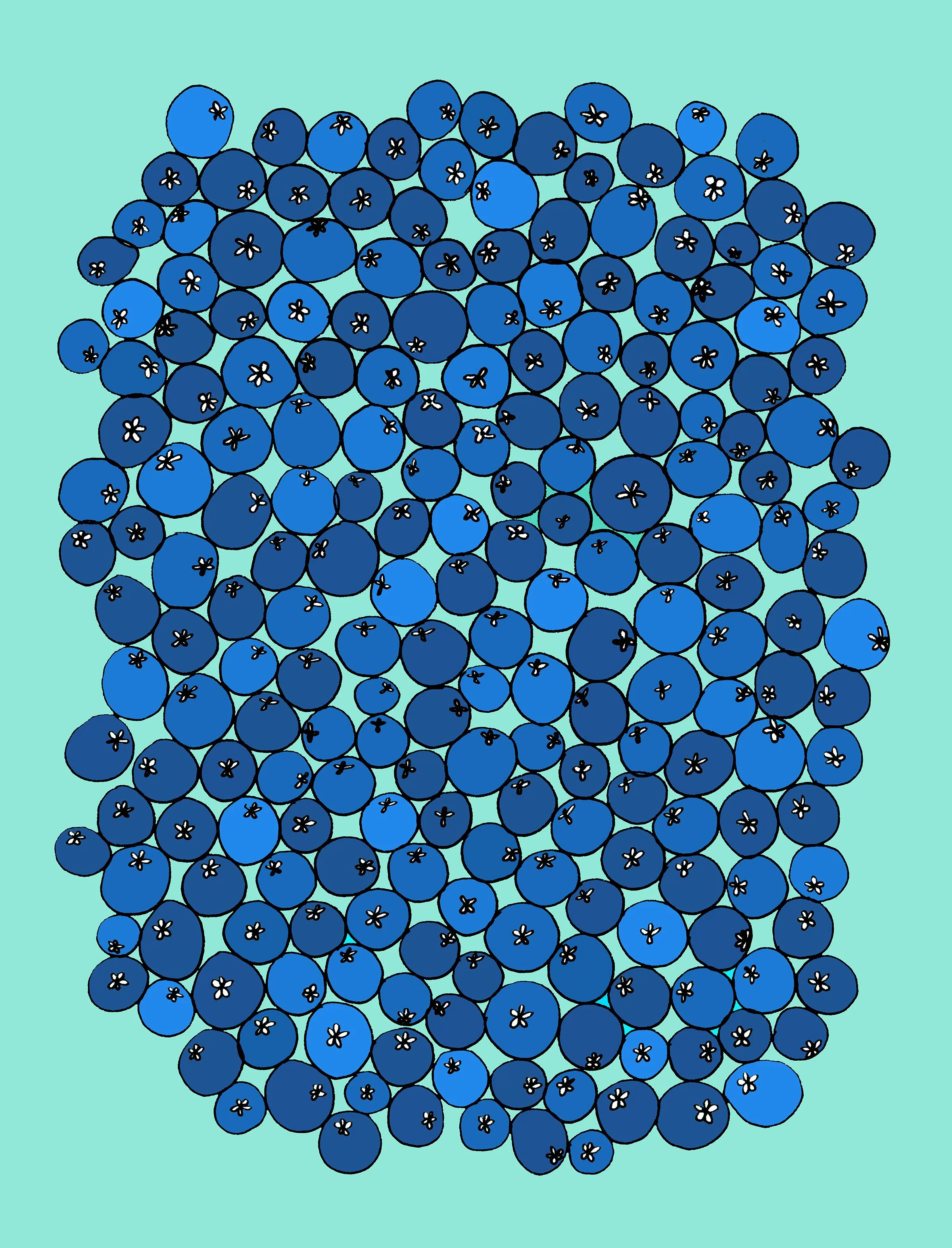 Blueberries_web.jpg