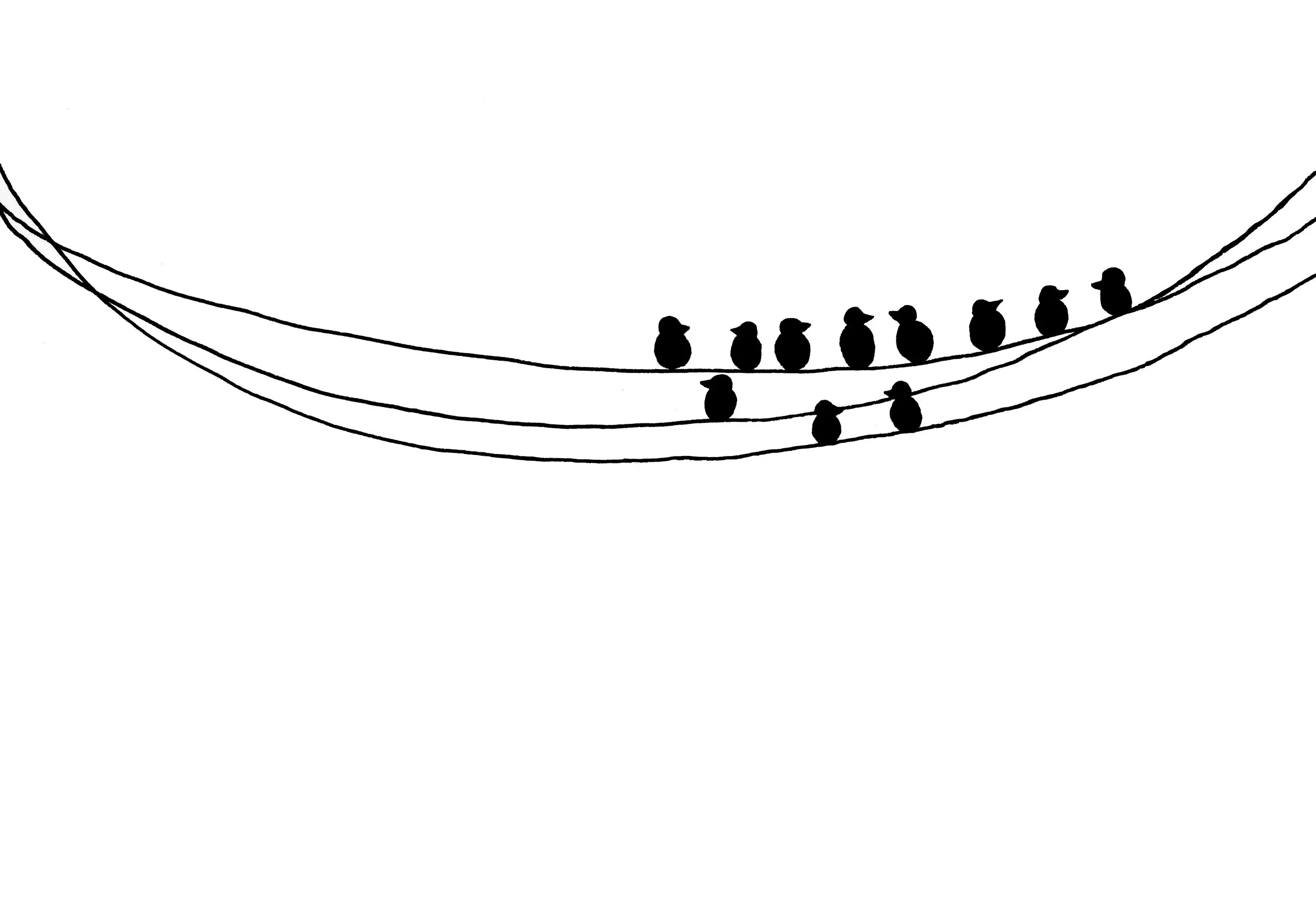 Birds on Wire_high res.jpg