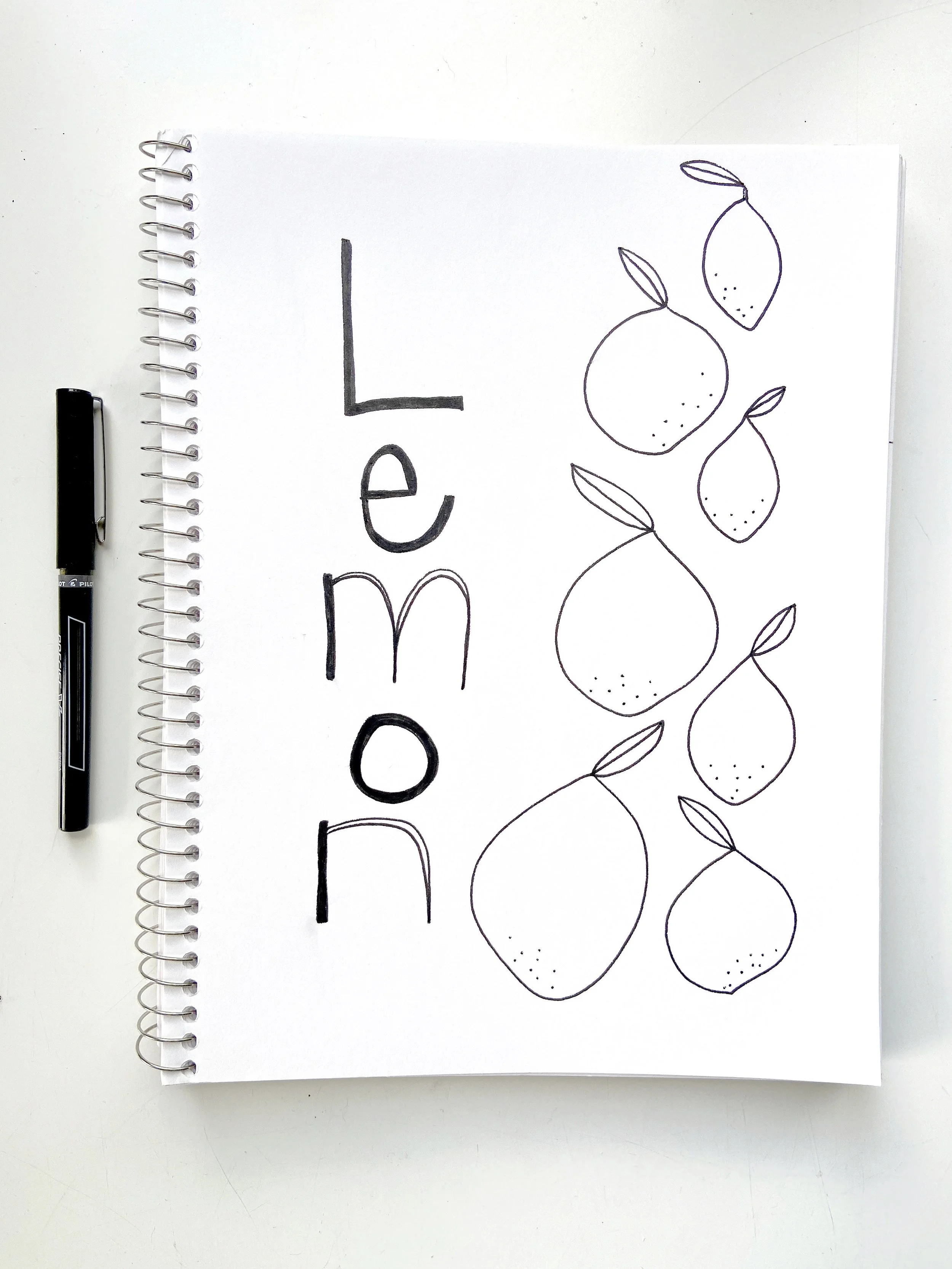 Lemon and Pen.JPG