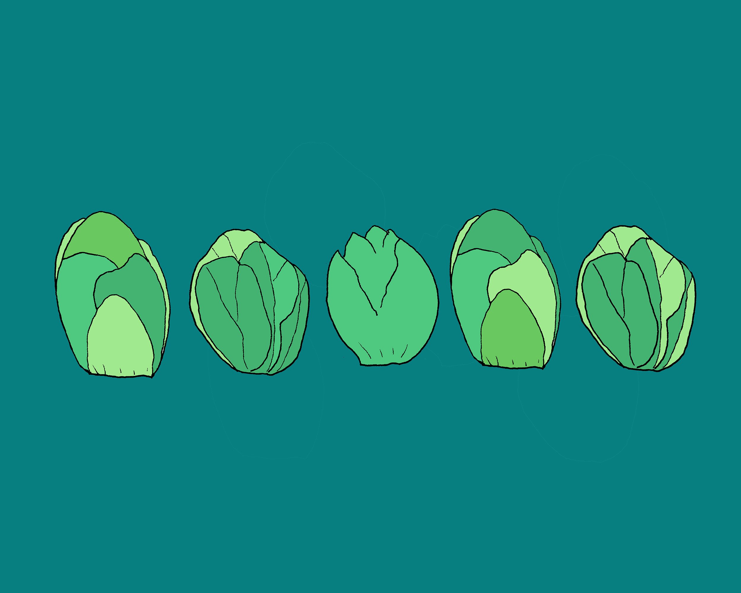 Brussel Sprouts_web.jpg