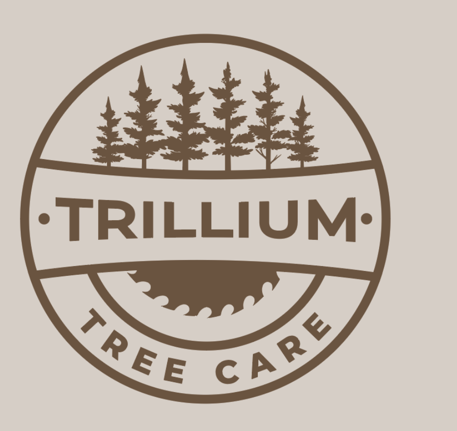 schedule-a-free-estimate-trillium-tree-care-exceptional-tree-care