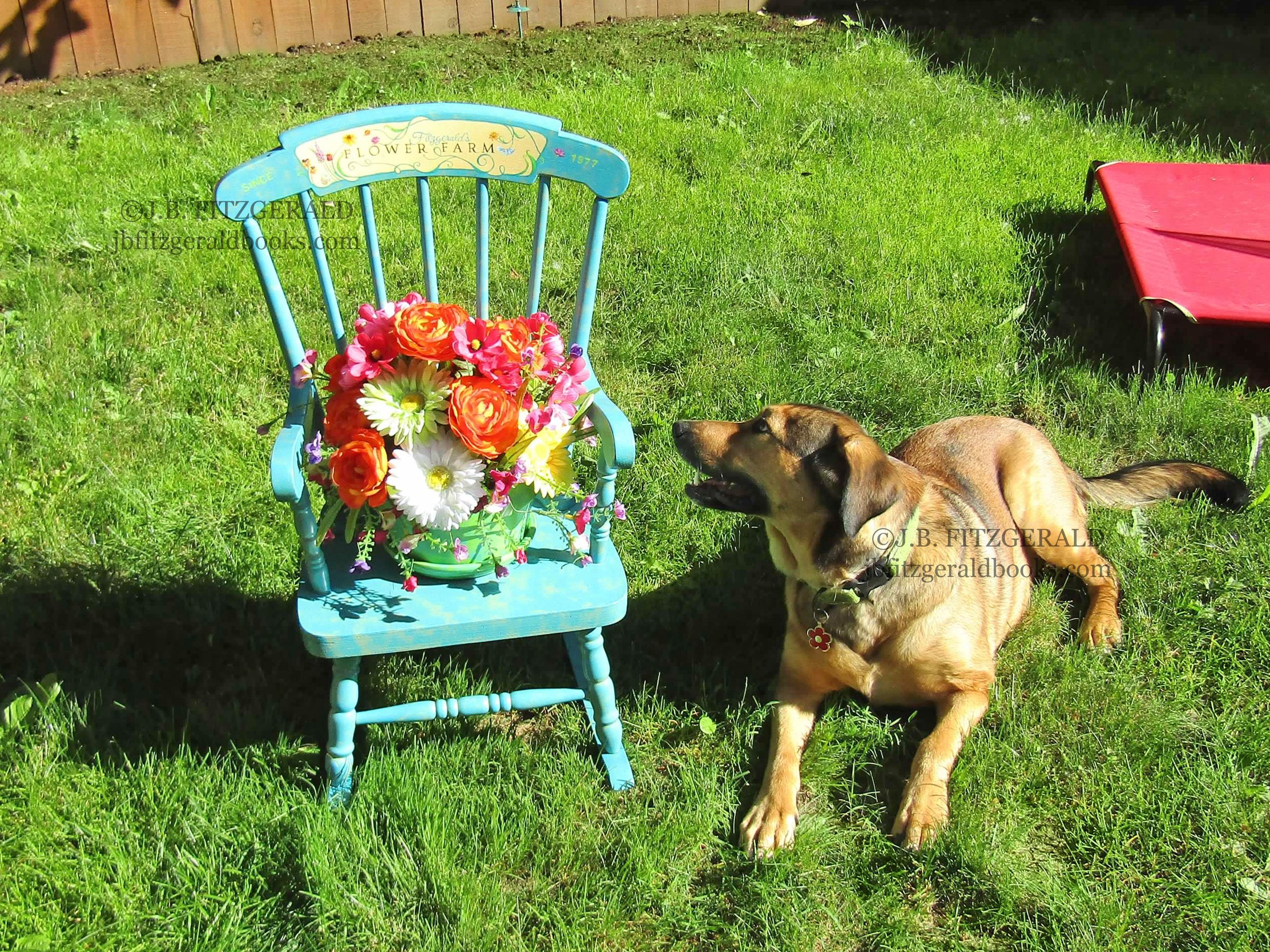 Maisie and the Fitzgerald Flower Farm chair by J.B. Fitzgerald.  Once Upon a Time, J.B. Fitzgerald, jbfitzgeraldbooks.com