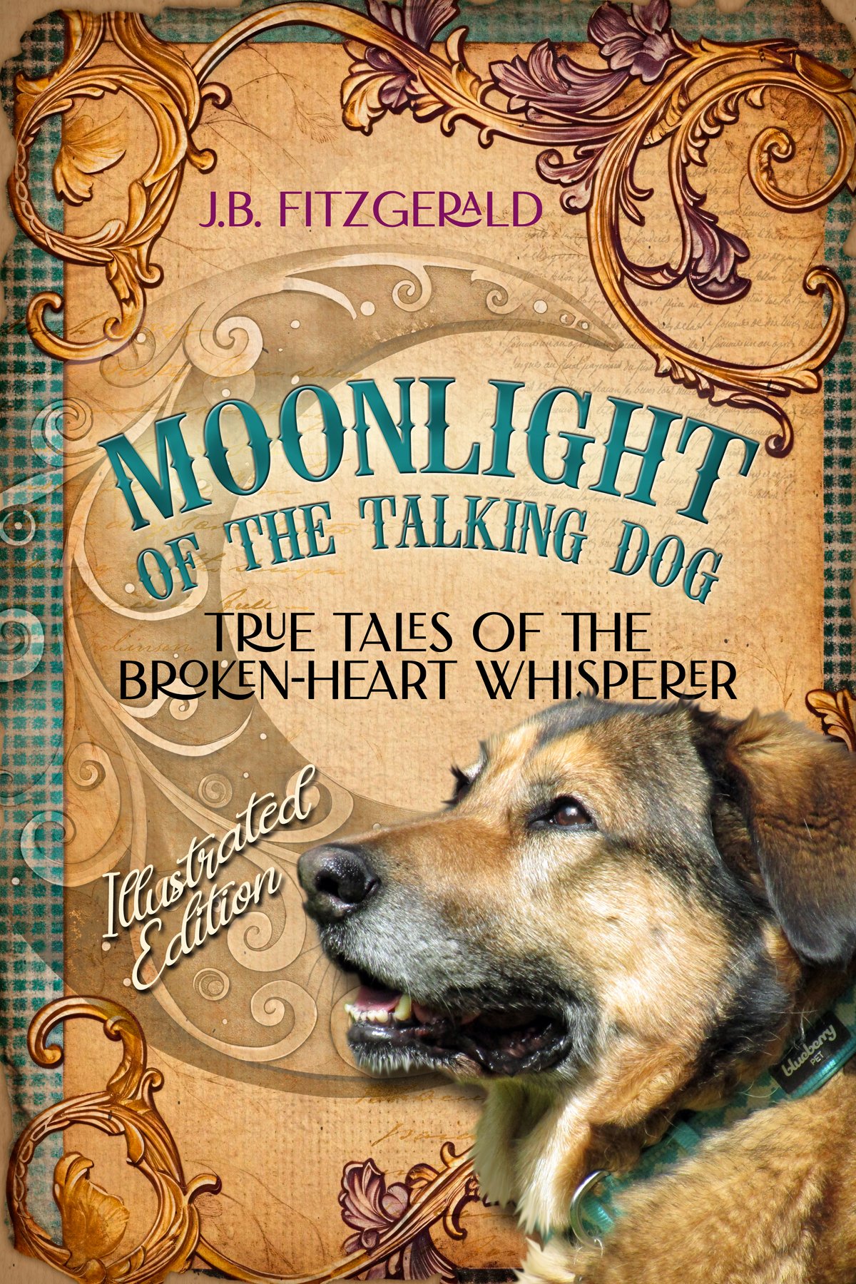 moonlight of the talking dog