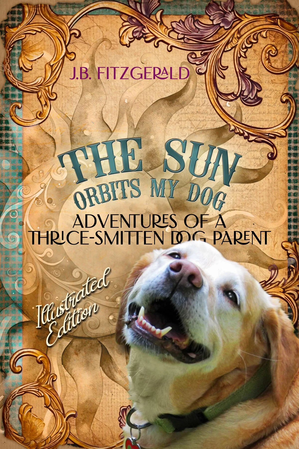 the sun orbits my dog