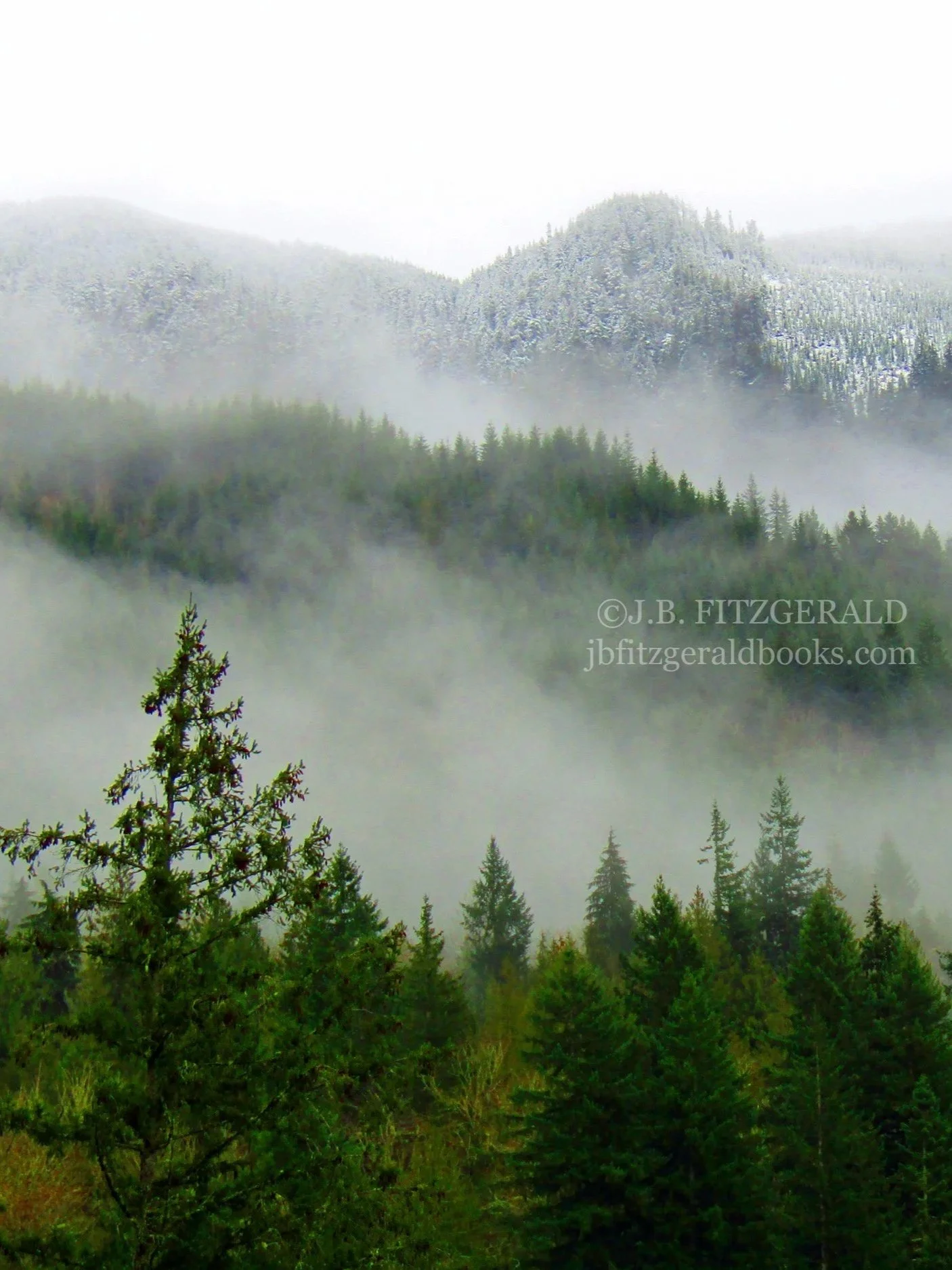 the fog, the dog, and the justified jog