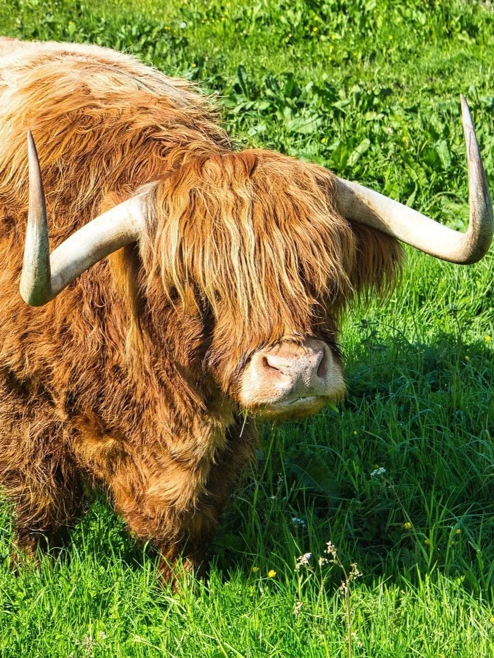 hoofing it into february