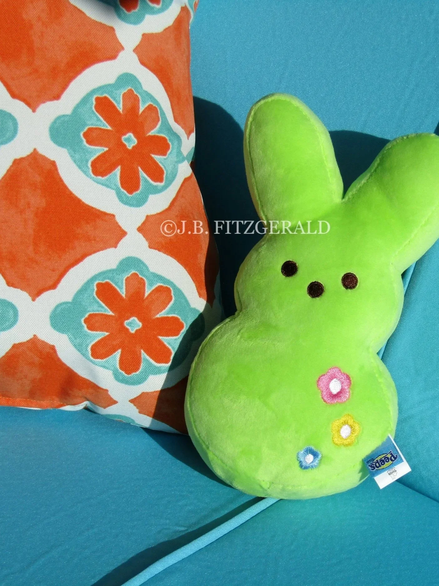 swing fling in the spring