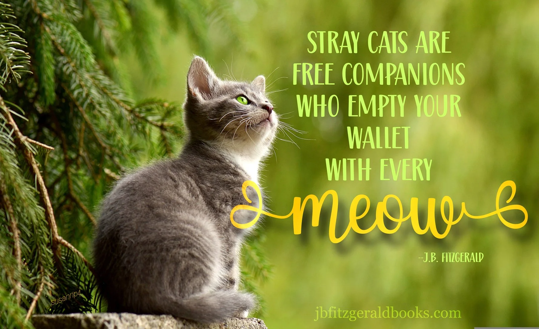 A Cat Story, J.B. Fitzgerald, jbfitzgeraldbooks.com
