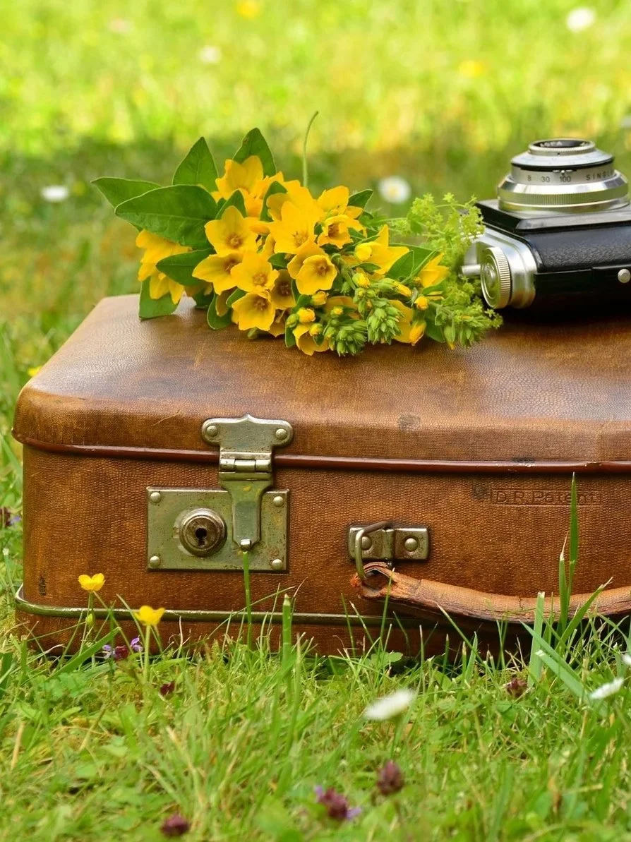 if only we were traveling