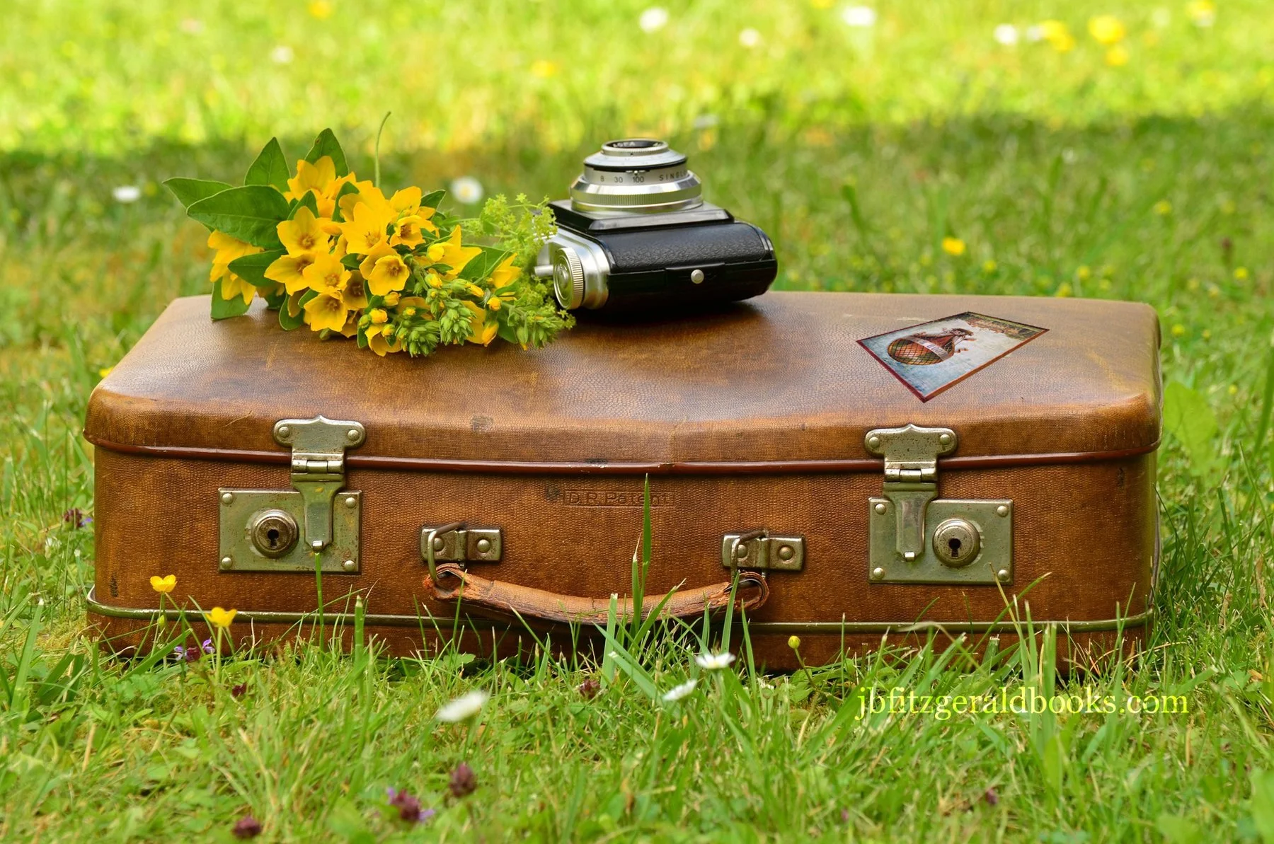 If Only We Were Traveling, suitcase with flowers and camera, J.B. Fitzgerald, jbfitzgeraldbooks.com