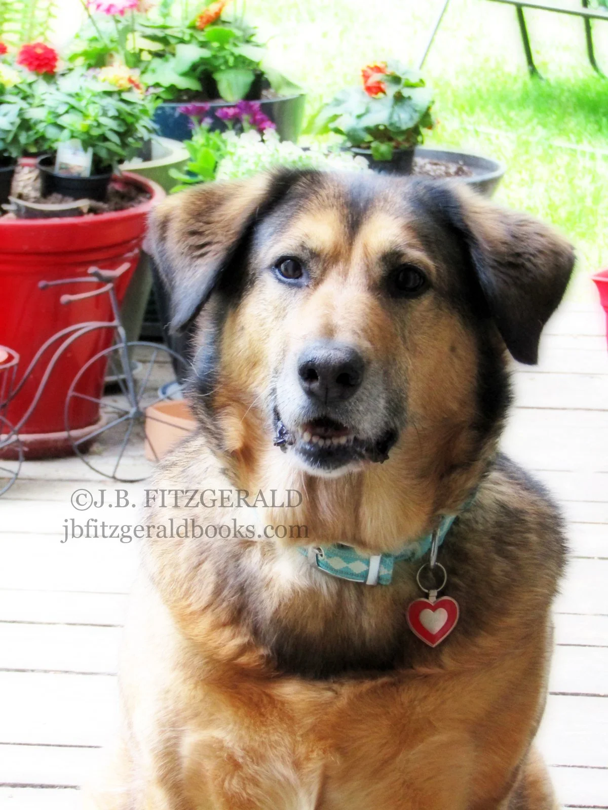 Maisie Moon, a photograph by J.B. Fitzgerald, jbfitzgeraldbooks.com