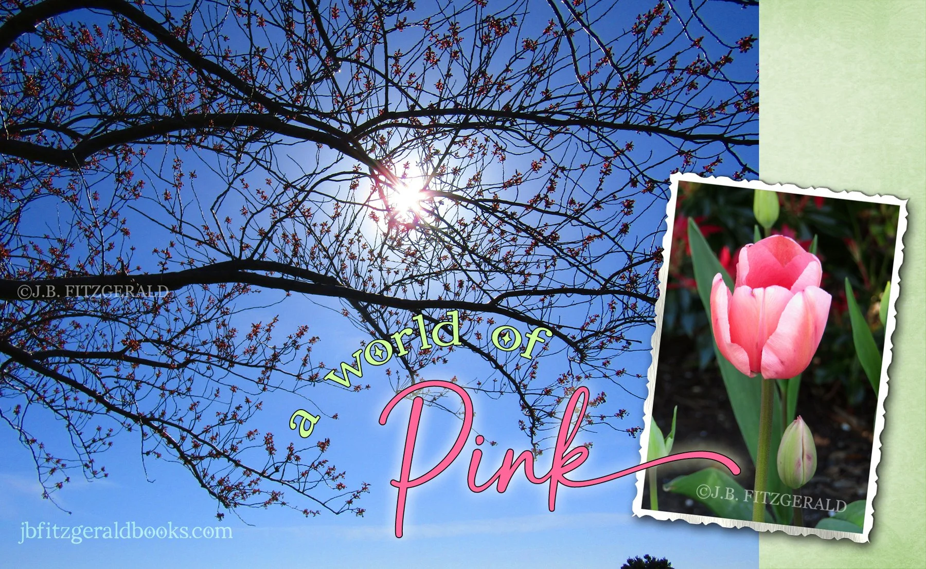 Budding Cherry Blossoms and Pink Tulip, How to Guarantee a Happy Birthday, J.B. Fitzgerald, jbfitzgeraldbooks.com