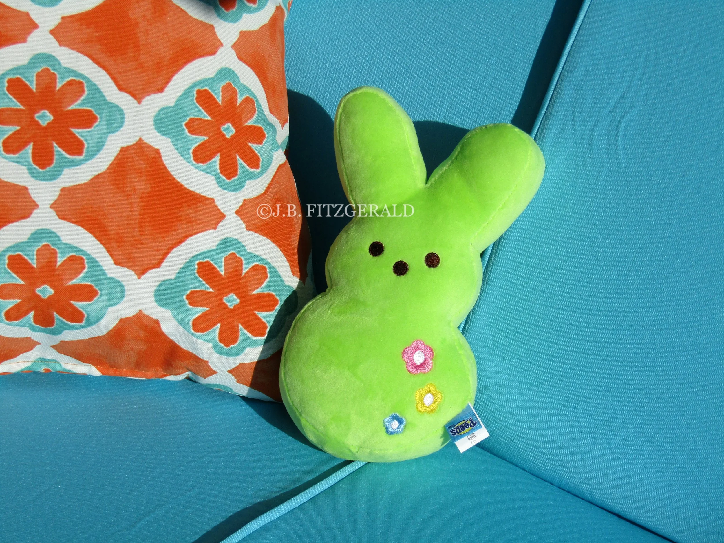 Peeps and pillow, Swing Fling in the Spring, J.B. Fitzgerald, jbfitzgeraldbooks.com