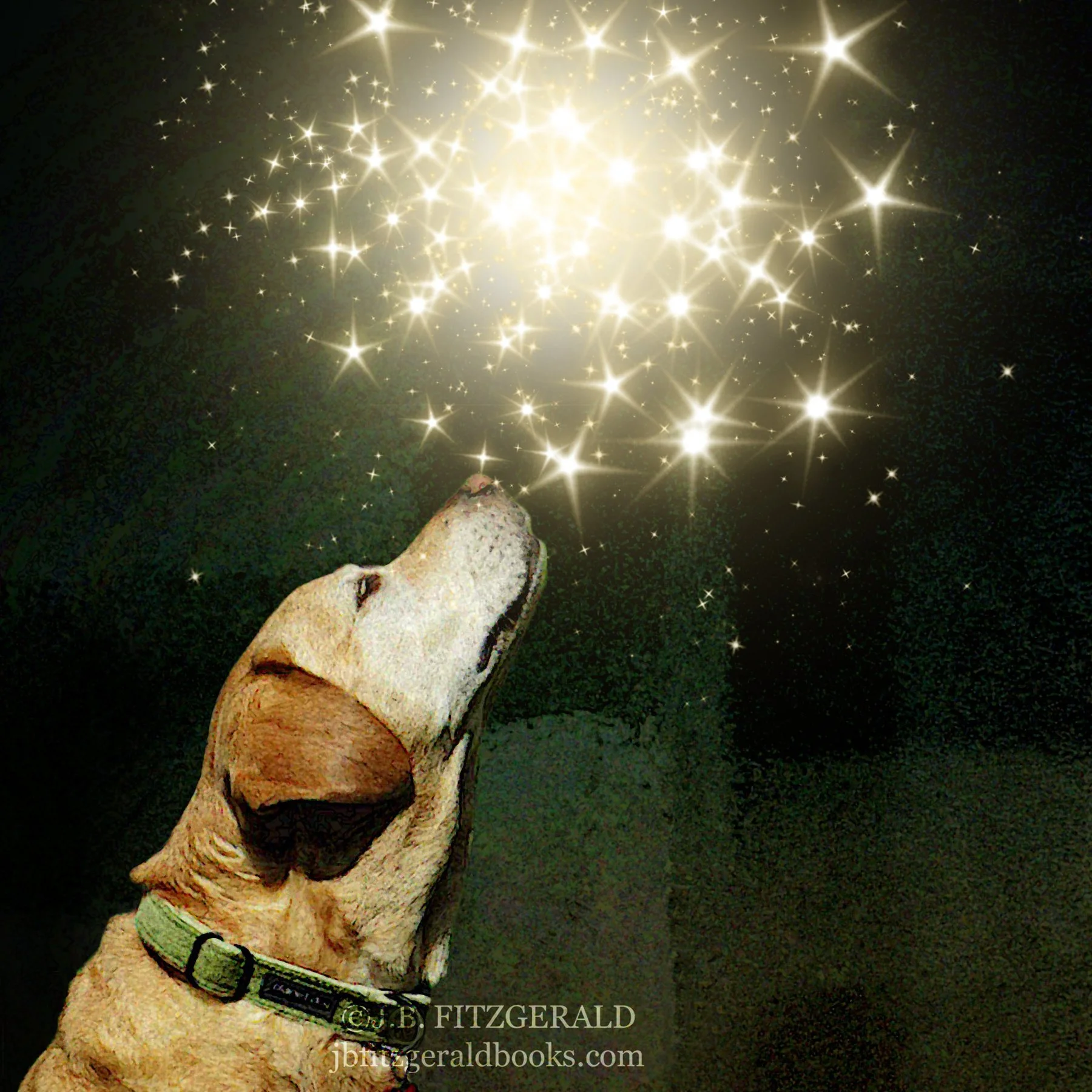 My Georgie Girl with her nose in the stars.  Written in the Stars, J.B. Fitzgerald, jbfitzgeraldbooks.com