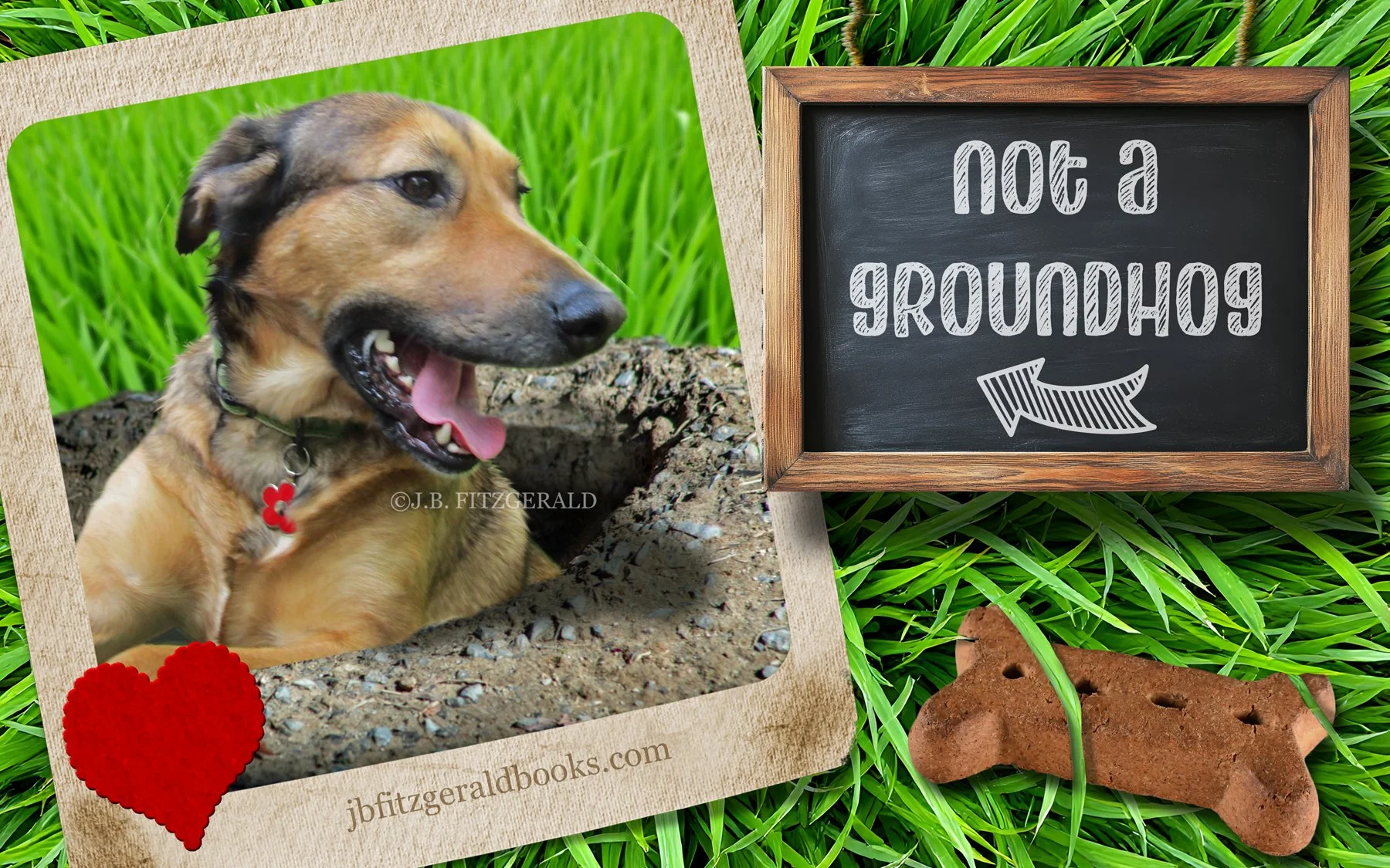 Not a groundhog.  Maisie Moon popping out of a burrow at two-and-a-half years old.  Hoofing it into February, J.B. Fitzgerald, jbfitzgeraldbooks.com