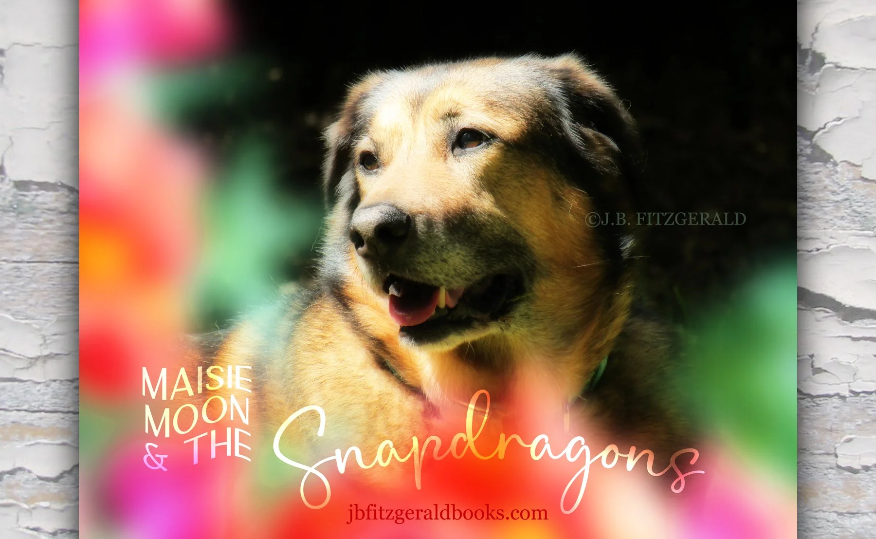 Maisie Moon, A Contemplation of Clouds, J.B. Fitzgerald, jbfitzgeraldbooks.com