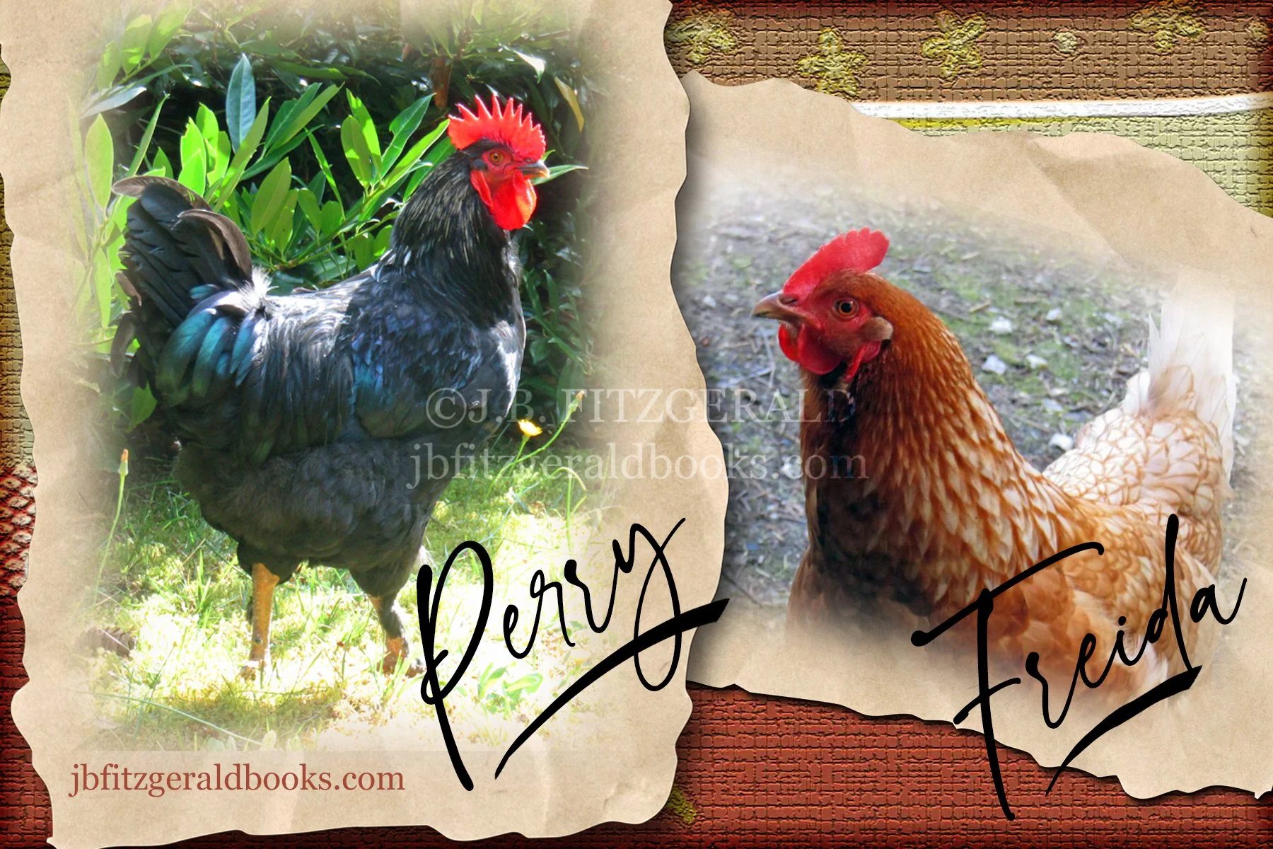 Perry and Freida, rooster and chicken.  The New Guy, J.B. Fitzgerald, jbfitzgeraldbooks.com