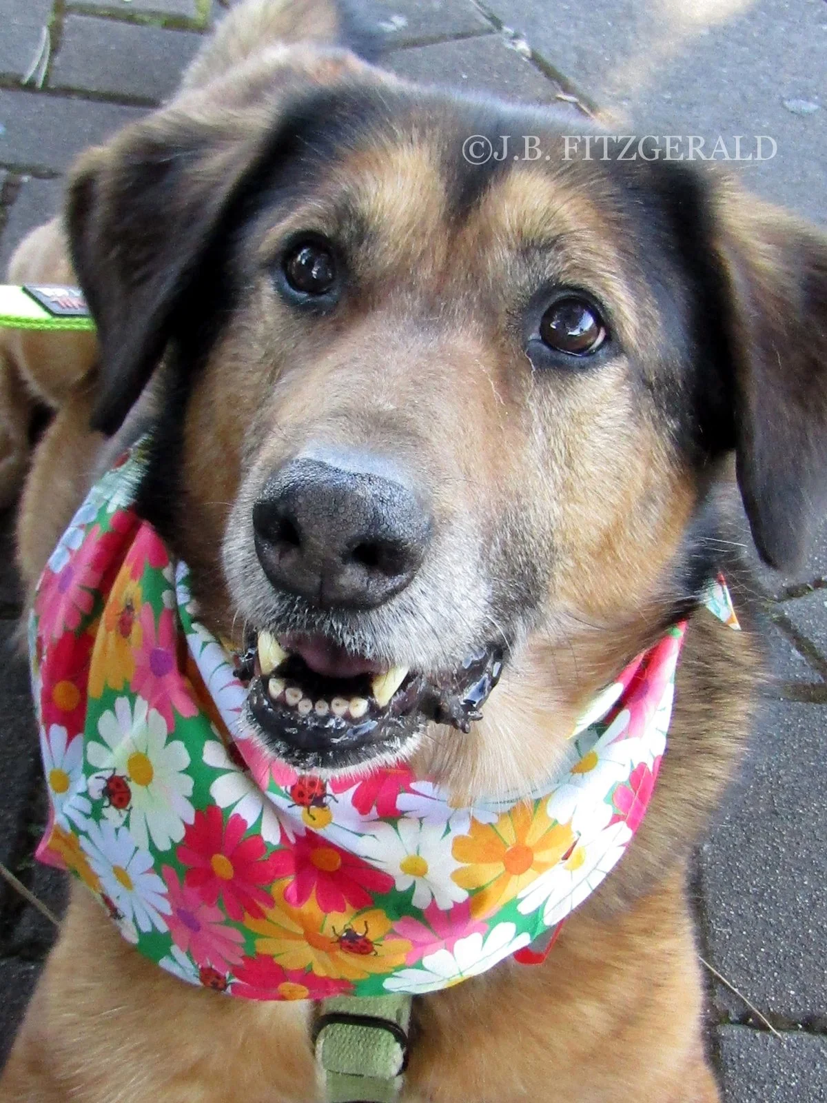 how to guarantee a happy birthday