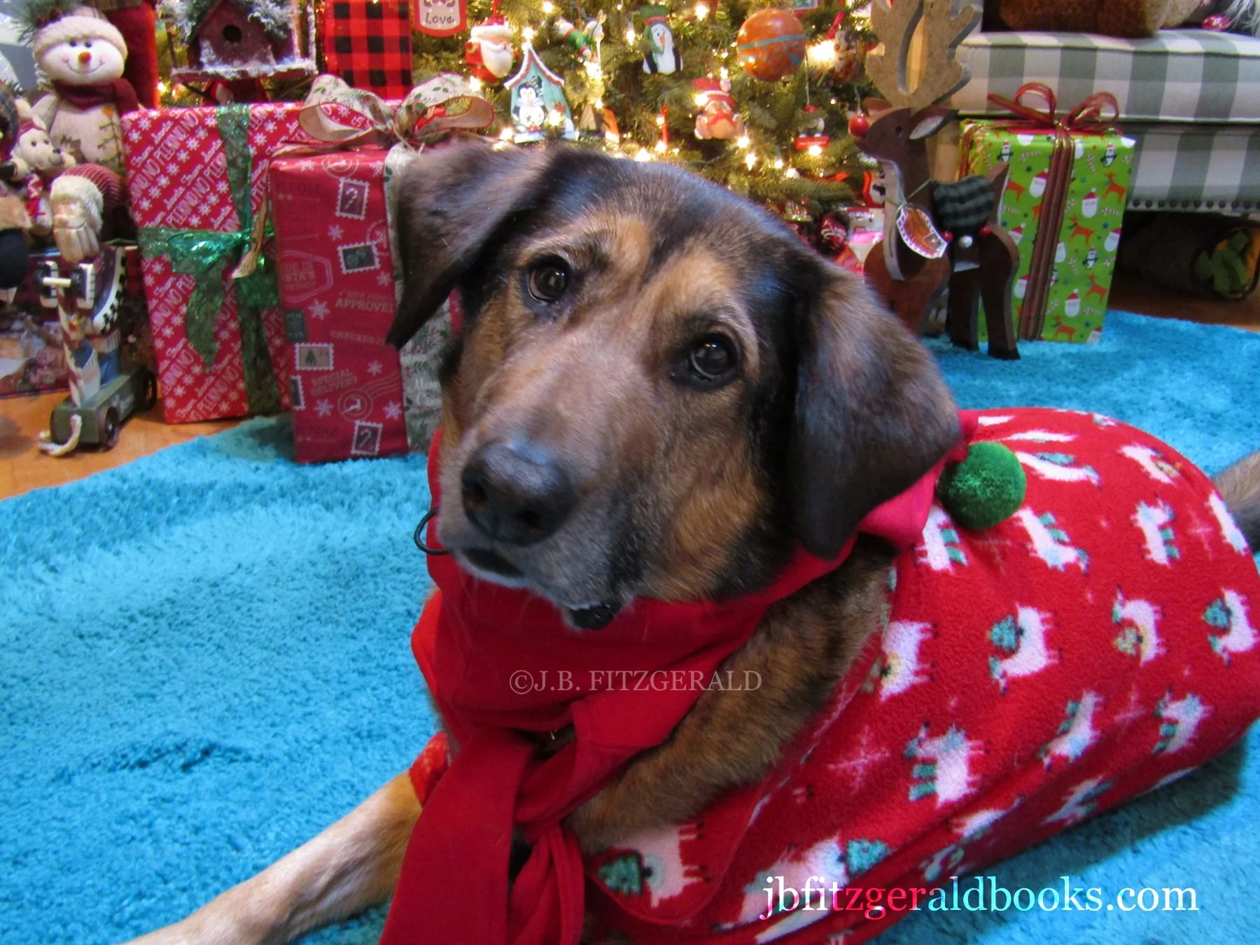 The Wily Ways of a Wet and Weary Christmas, J.B. Fitzgerald, jbfitzgeraldbooks.com