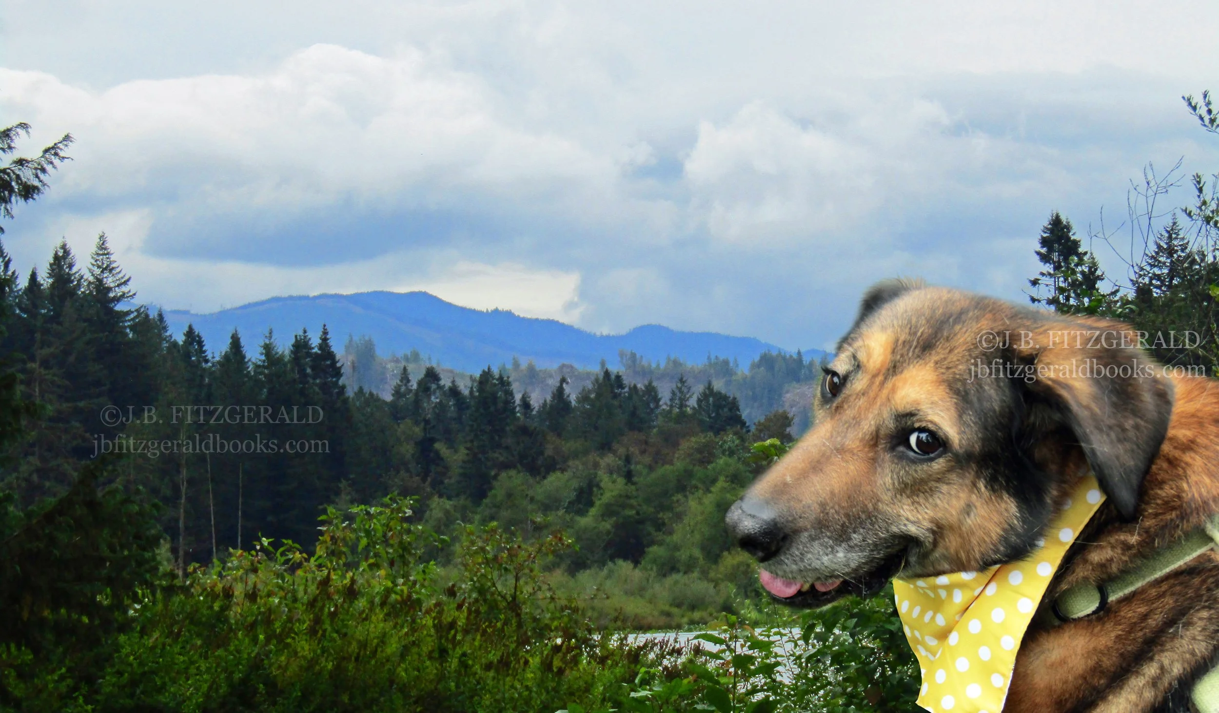 Sunshine on a Cloudy Day, J.B. Fitzgerald, jbfitzgeraldbooks.com