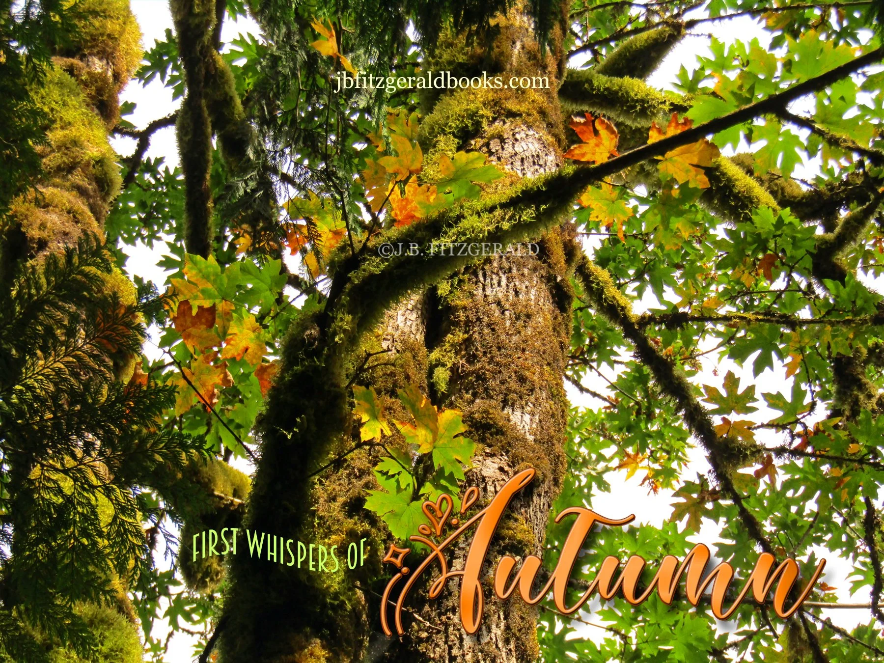 Sunshine on a Cloudy Day, J.B. Fitzgerald, jbfitzgeraldbooks.com