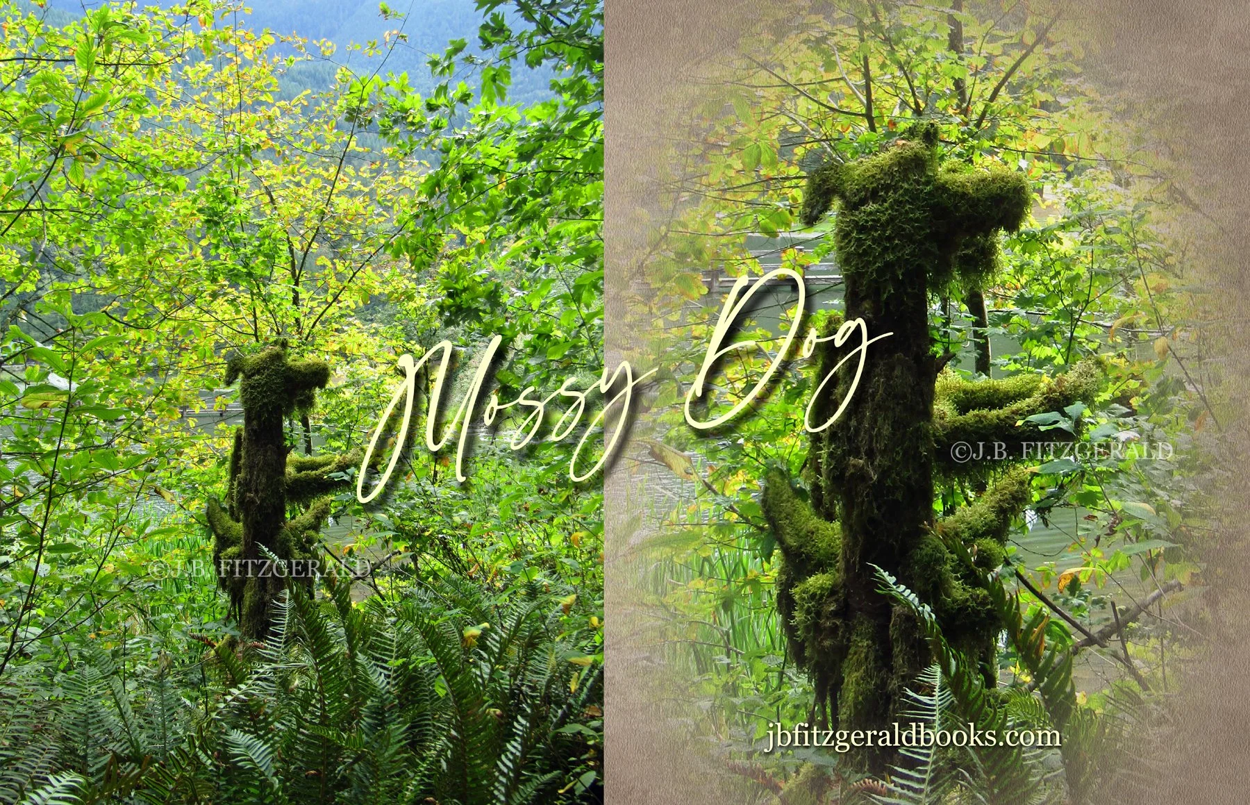 Mossy Dog stump in the forest.  Sunshine on a Cloudy Day, J.B. Fitzgerald, jbfitzgeraldbooks.com