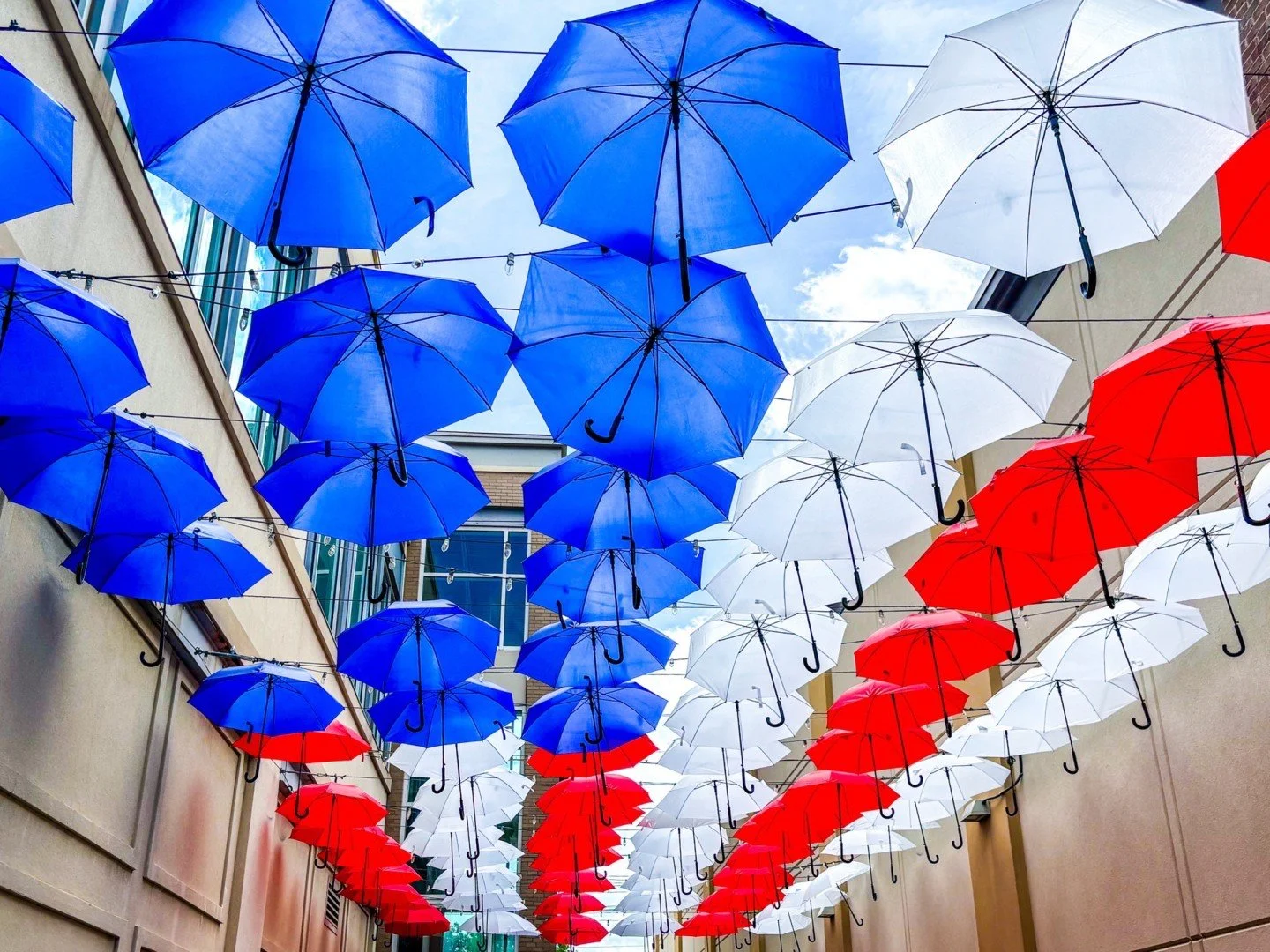 Bold stripes, bright stars, brave hearts. &hearts;️ 🤍 💙
Happy 4th of July everyone!!! 🇺🇸 

#clickcommunityhunt25 #umbrella #umbrellas #redwhiteandblue #americanflag #fourthofjuly #independenceday