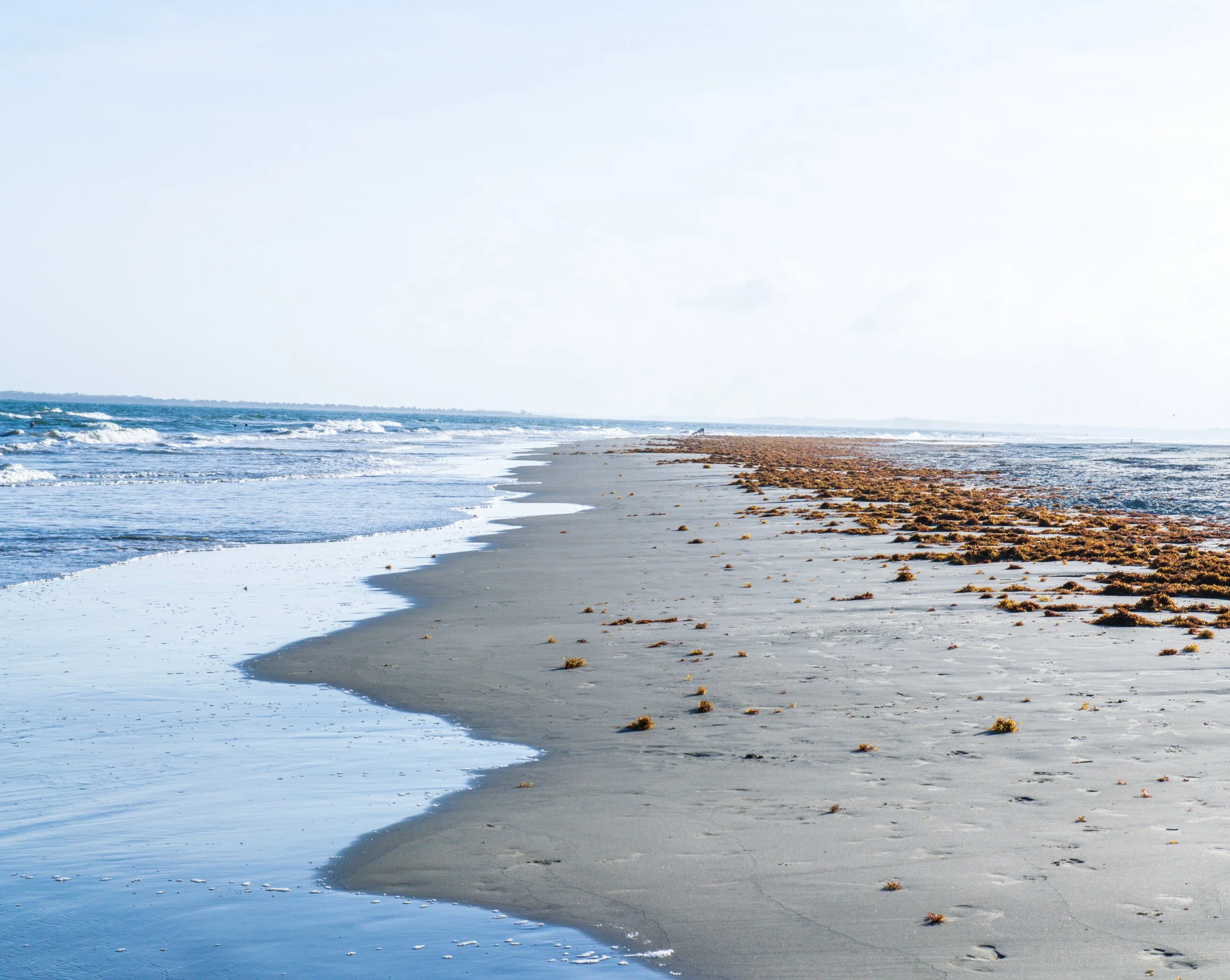 Nothing soothes the soul like a warm walk on the beach. 🏝️ 🌊 ☀️

#VisitCharleston #CharlestonTravel  #BeachPhotography