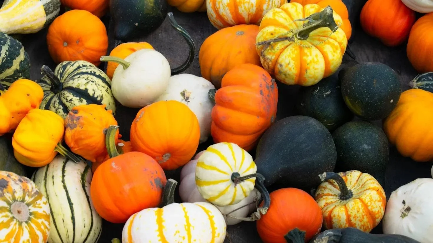 Colorful pumpkins