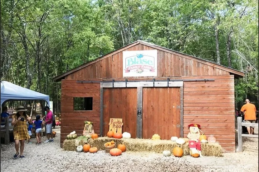 Blase Family Farm Pumpkins