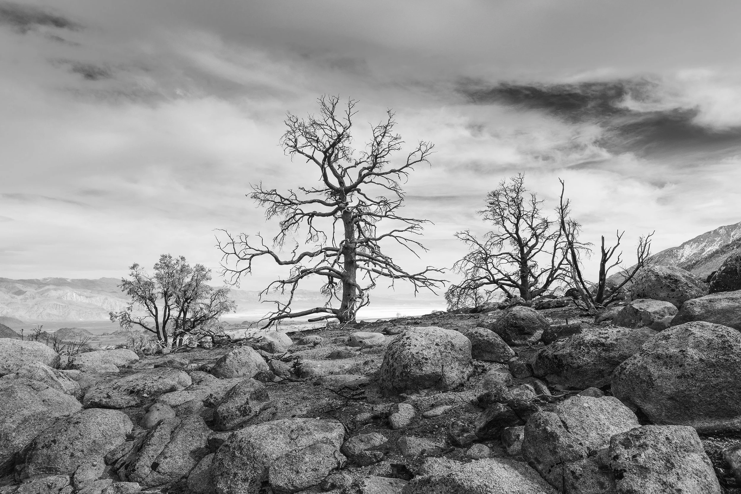 Scorched Earth, Alabama Hills, Death Valley