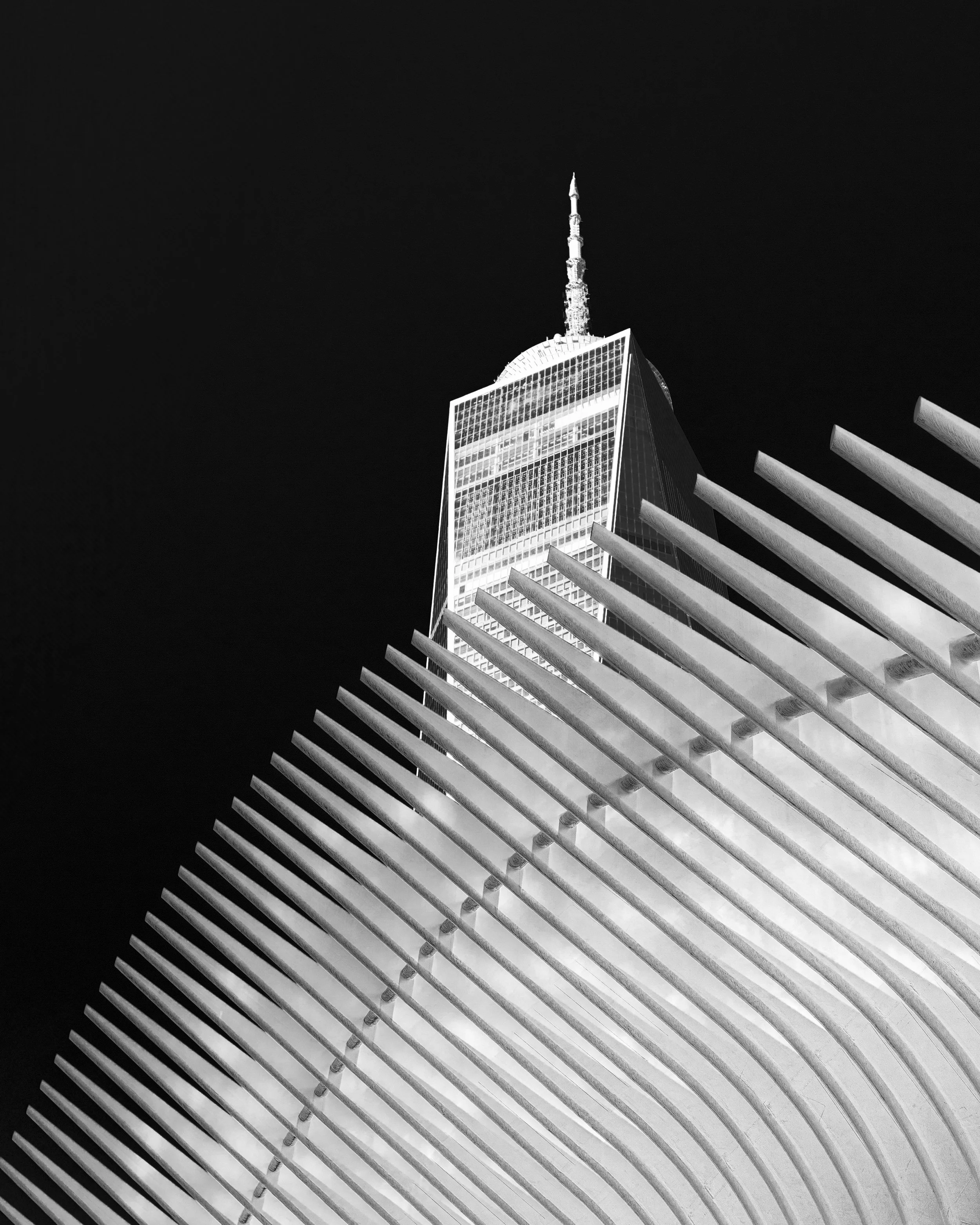 Freedom Tower Standing Tall