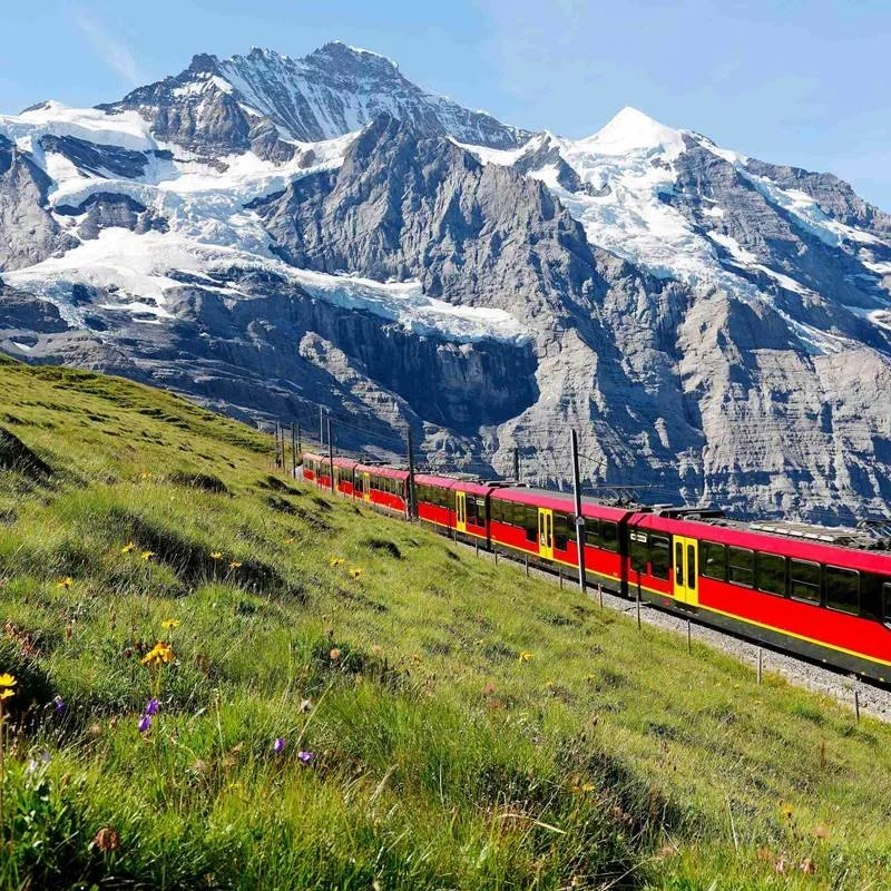 Top 5 Best Trains for seeing Switzerland