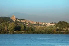 Uncorking Memories: Wine Cruise Guests Share Their Provence River Cruise Experience!